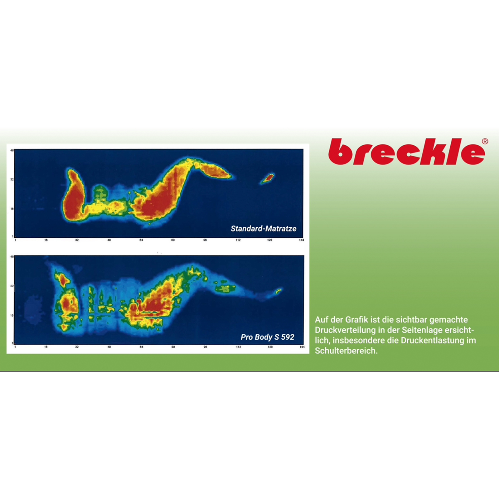 7-Zonen Kaltschaummatratze PRO BODY - H2 - 100x200 cm