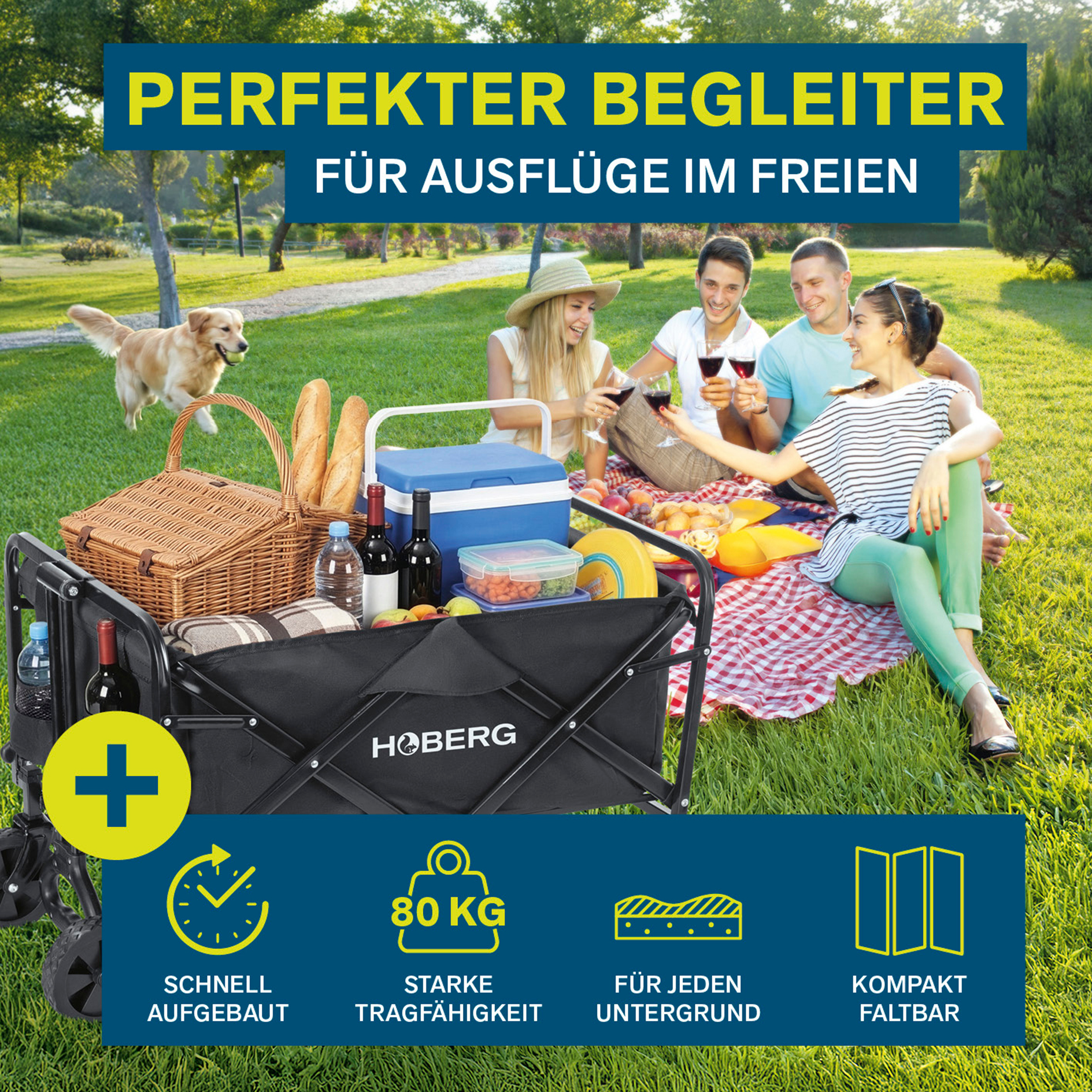 Bollerwagen - schwarz - faltbar - mit Feststellbremsen