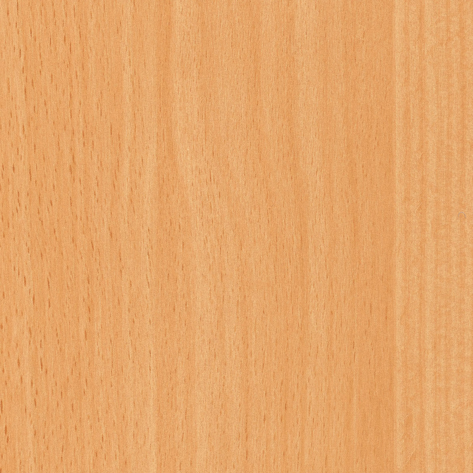 d-c fix Möbelfolie - Rotbuche-Optik - 90x210 cm