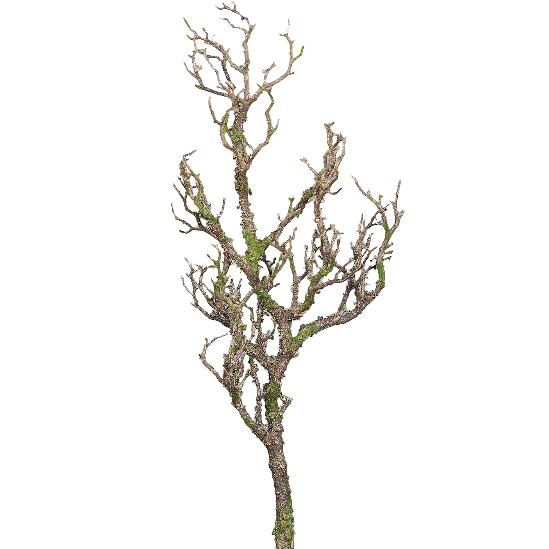 Deko-Ast - braun-grün - 63 cm