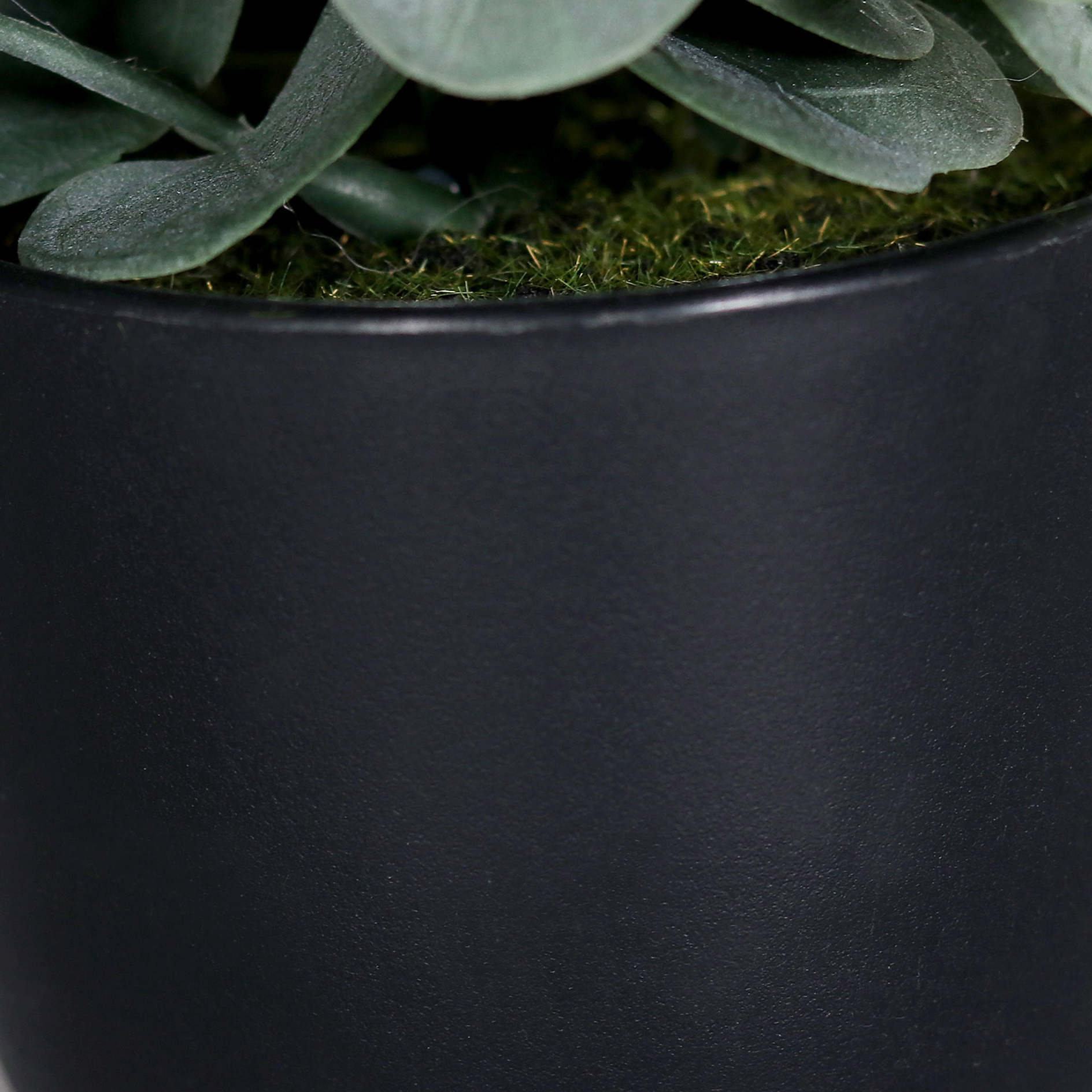 Eukalyptus im Topf - Kunstpflanze - 20 cm