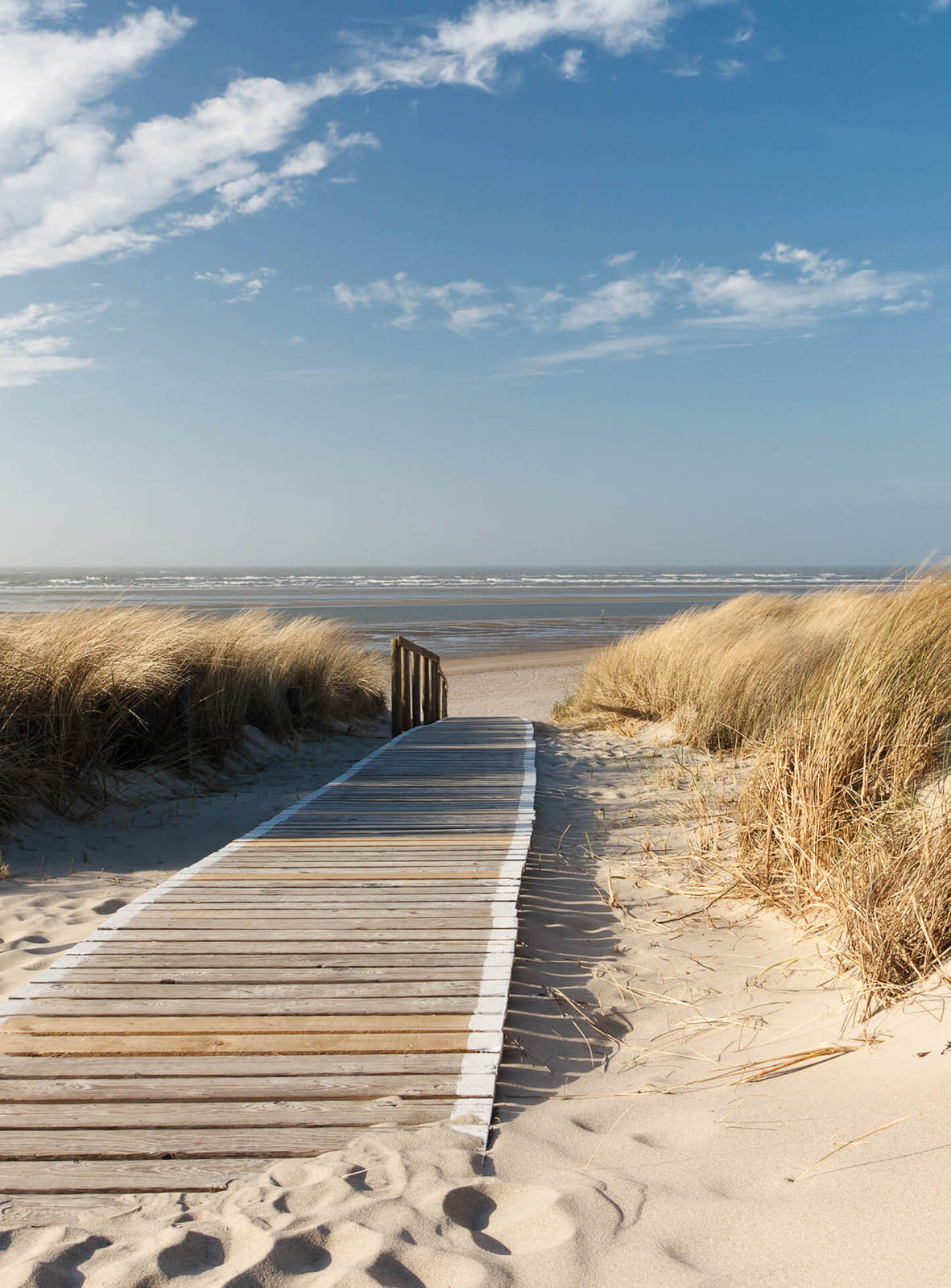 Fototapete DESIGNWALLS 2.0 - beige/creme-blau - Strand - 2,6 Meter