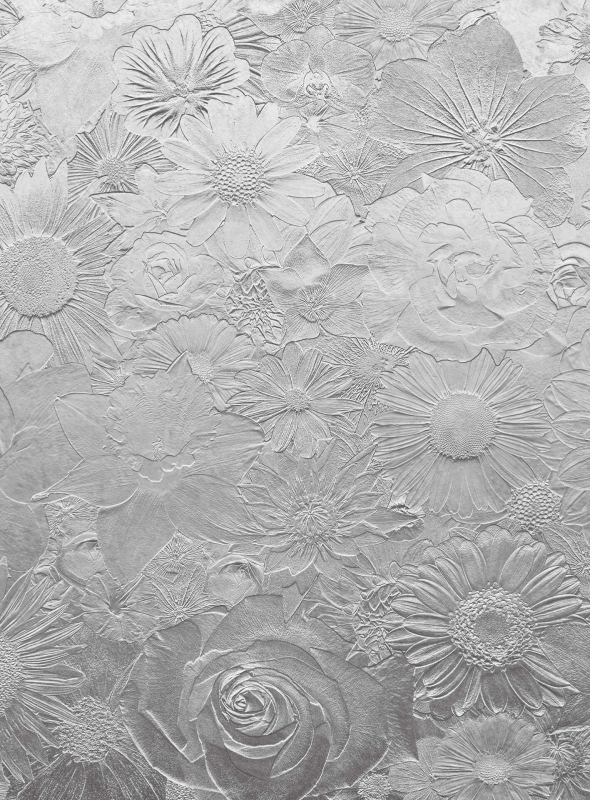 Fototapete DESIGNWALLS 2.0 - grau - Blumen - 2,6 Meter