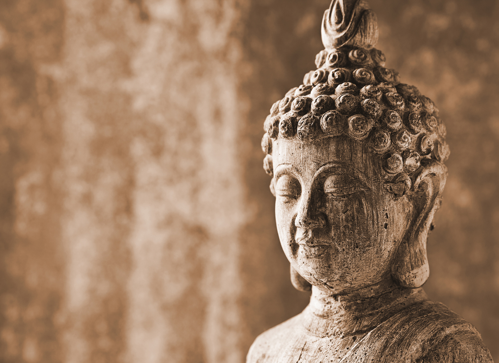 Fototapete DESIGNWALLS - braun-grau - Buddha - 2,55 Meter