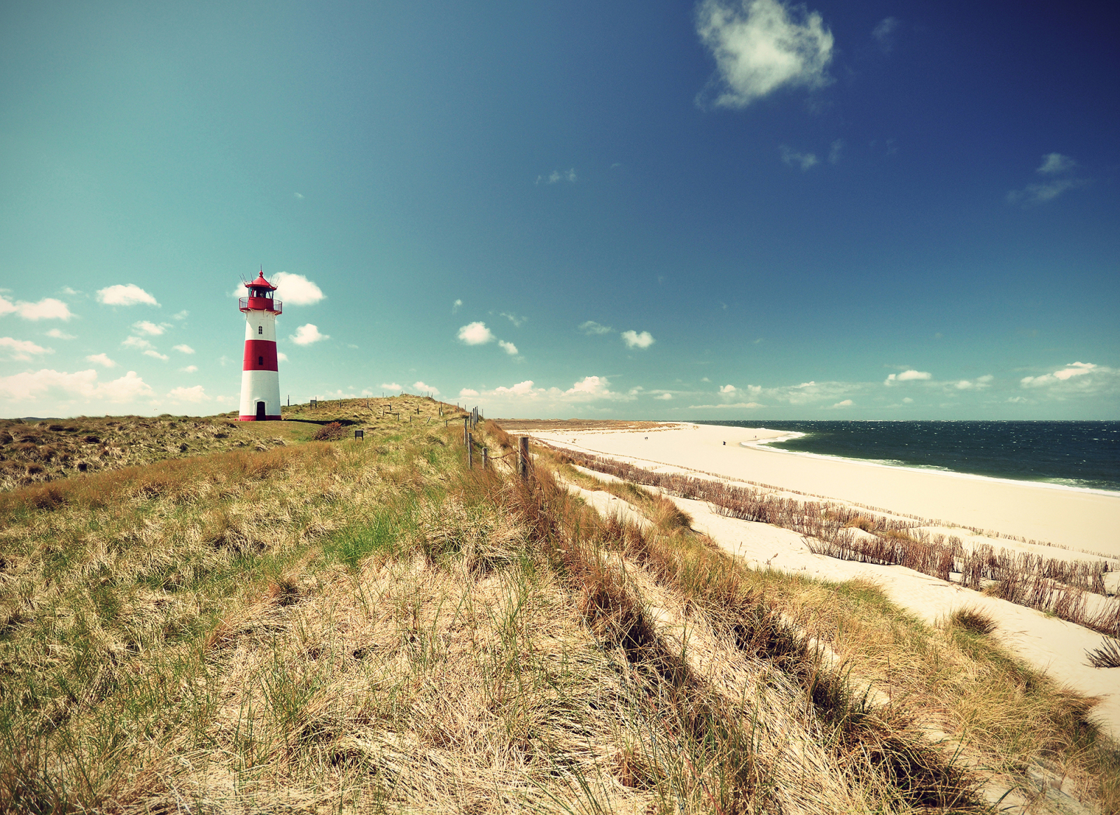 Fototapete DESIGNWALLS - grün-blau - Strand - 2,55 Meter