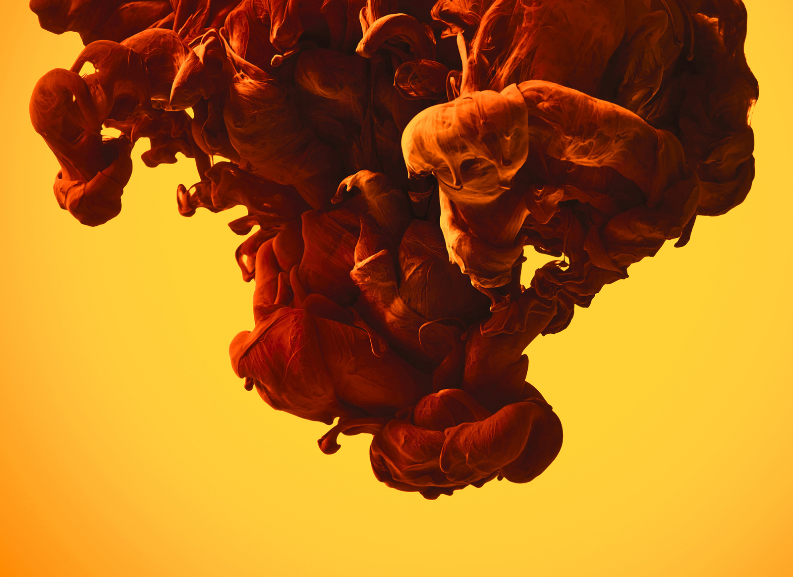 Fototapete DESIGNWALLS - orange-gelb - Modern Art - 2,55 Meter