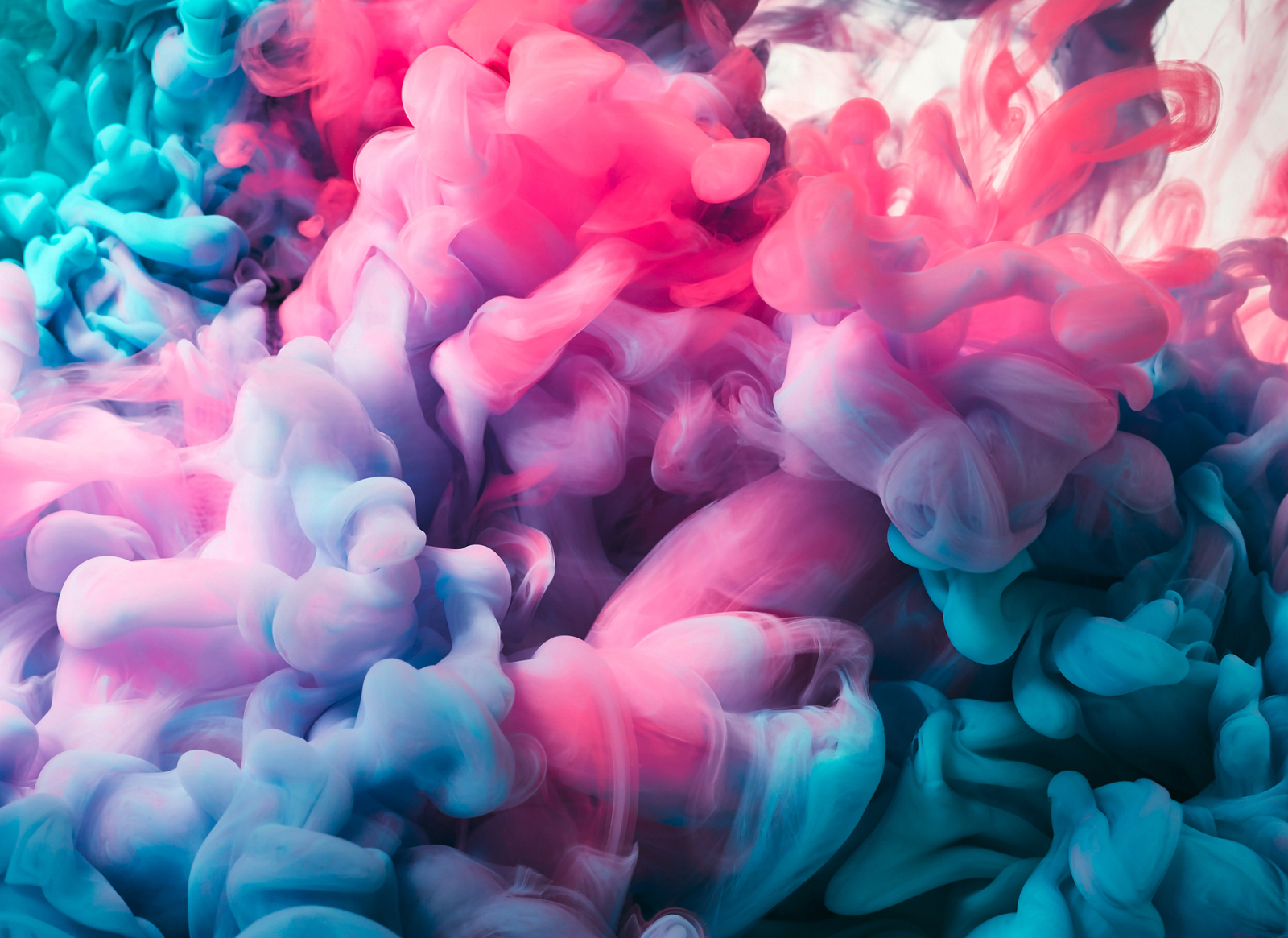 Fototapete DESIGNWALLS - rosa-blau - Modern Art - 2,55 Meter