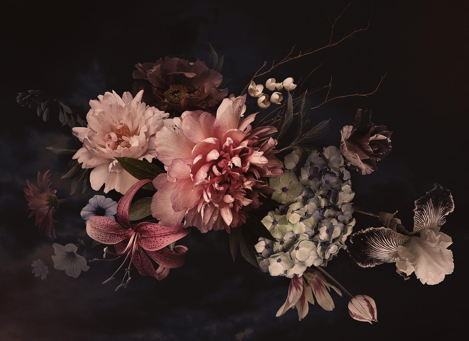 Fototapete DESIGNWALLS - rosa-schwarz - Blumen - 2,55 Meter