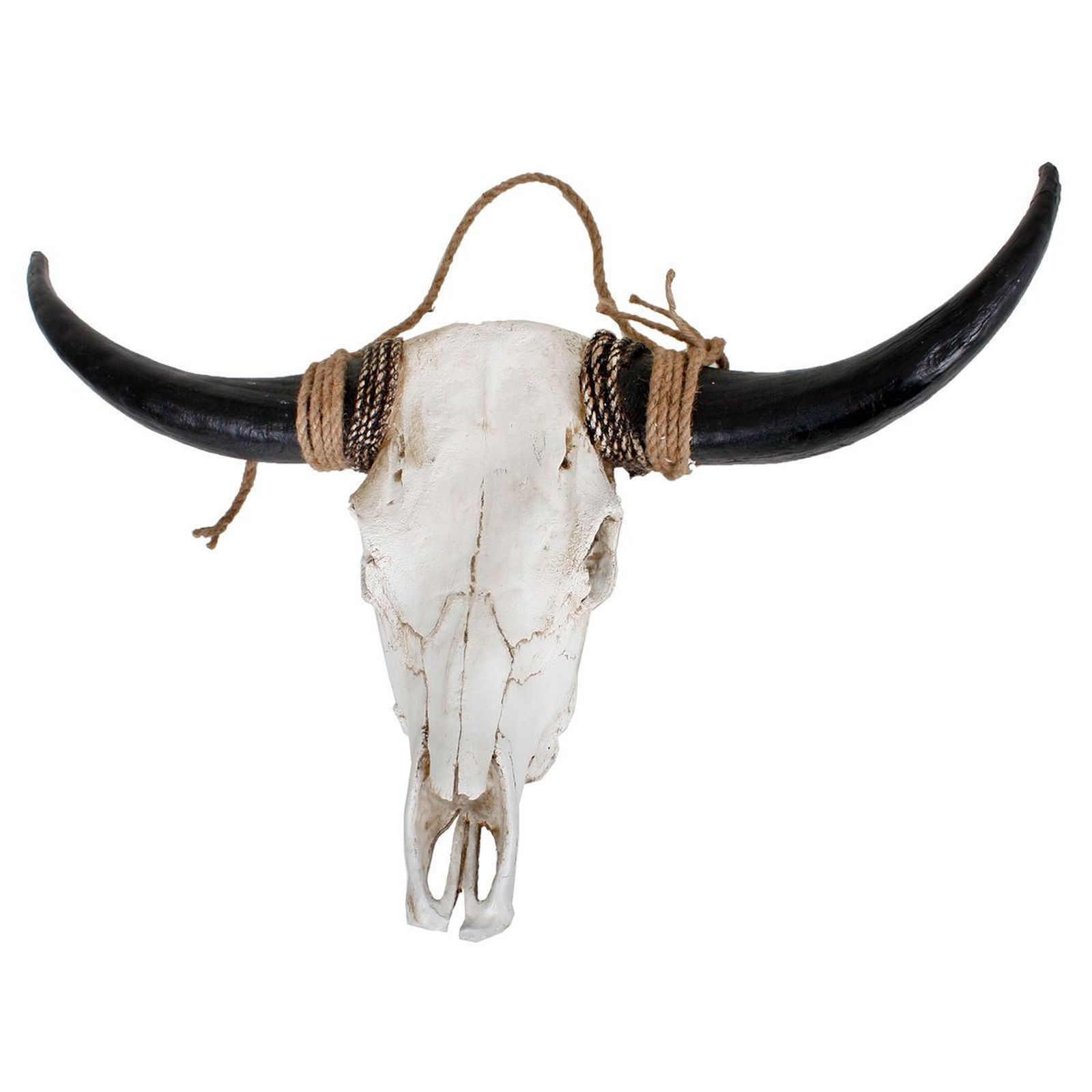 Geweih BISON - 56 cm