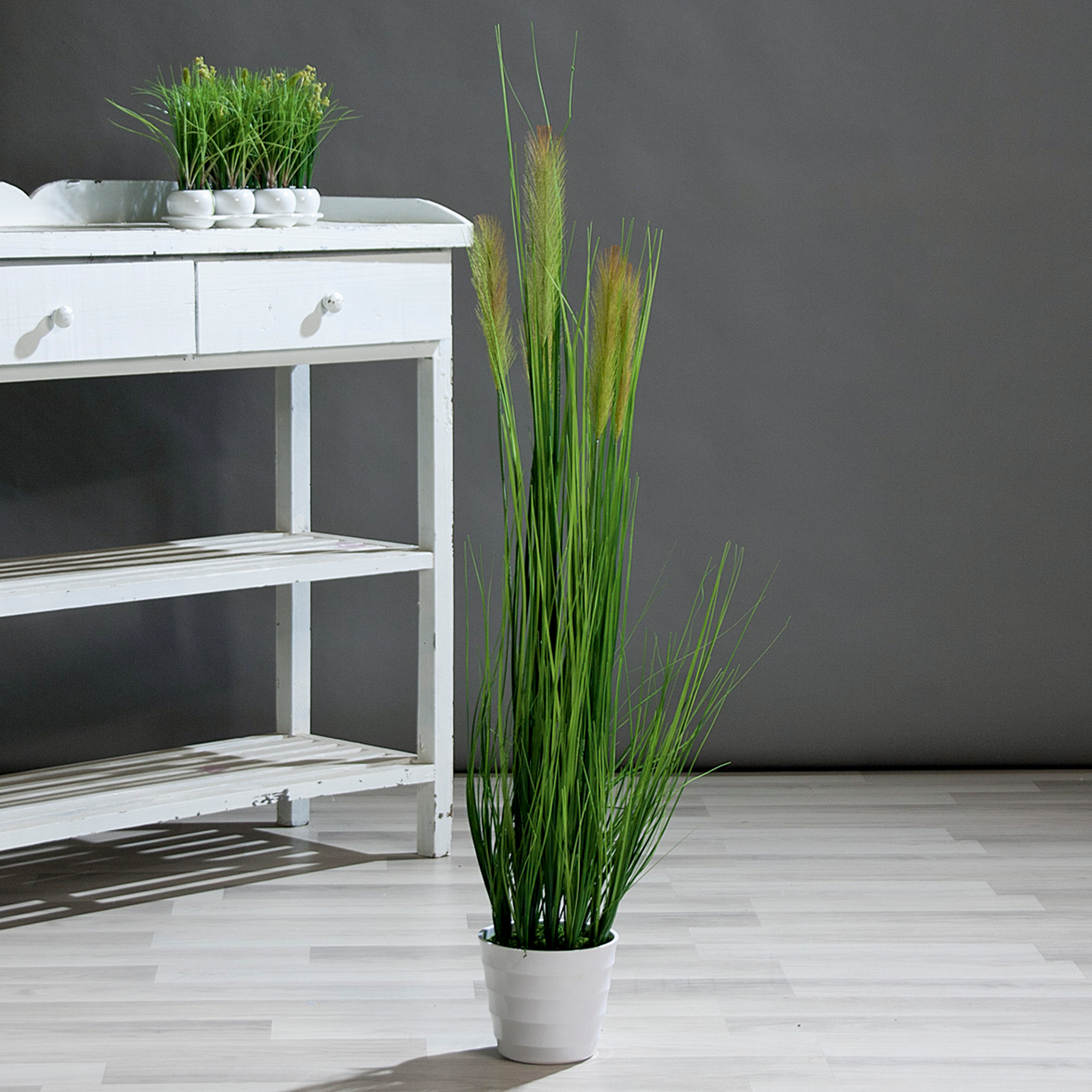 pflanztopf für palmen Bestelle 6 XXL Palmen auf Rollen fürs Büro – Green Me Up main image 0
