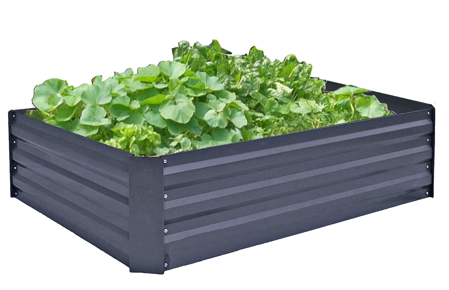 Hochbeet - anthrazit - Stahl - 120 cm