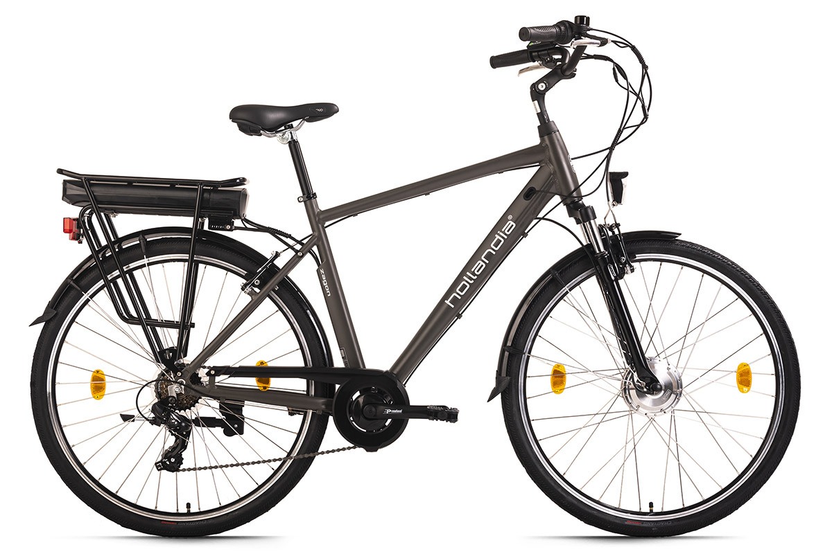 HOLLANDIA Herren E-Citybike Zagon - grau - 28 Zoll