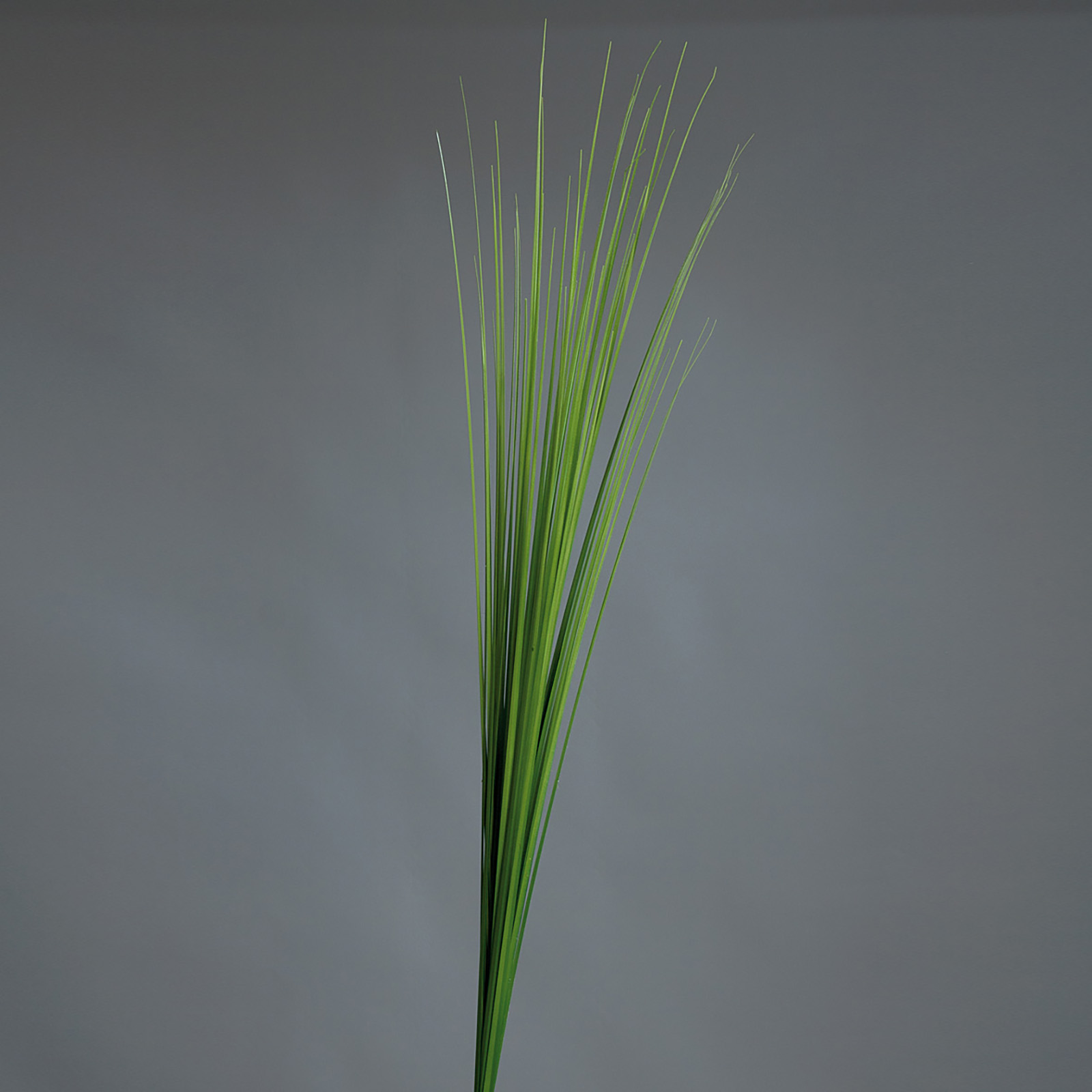 Isolepsis-Gras - Kunstpflanze - grün
