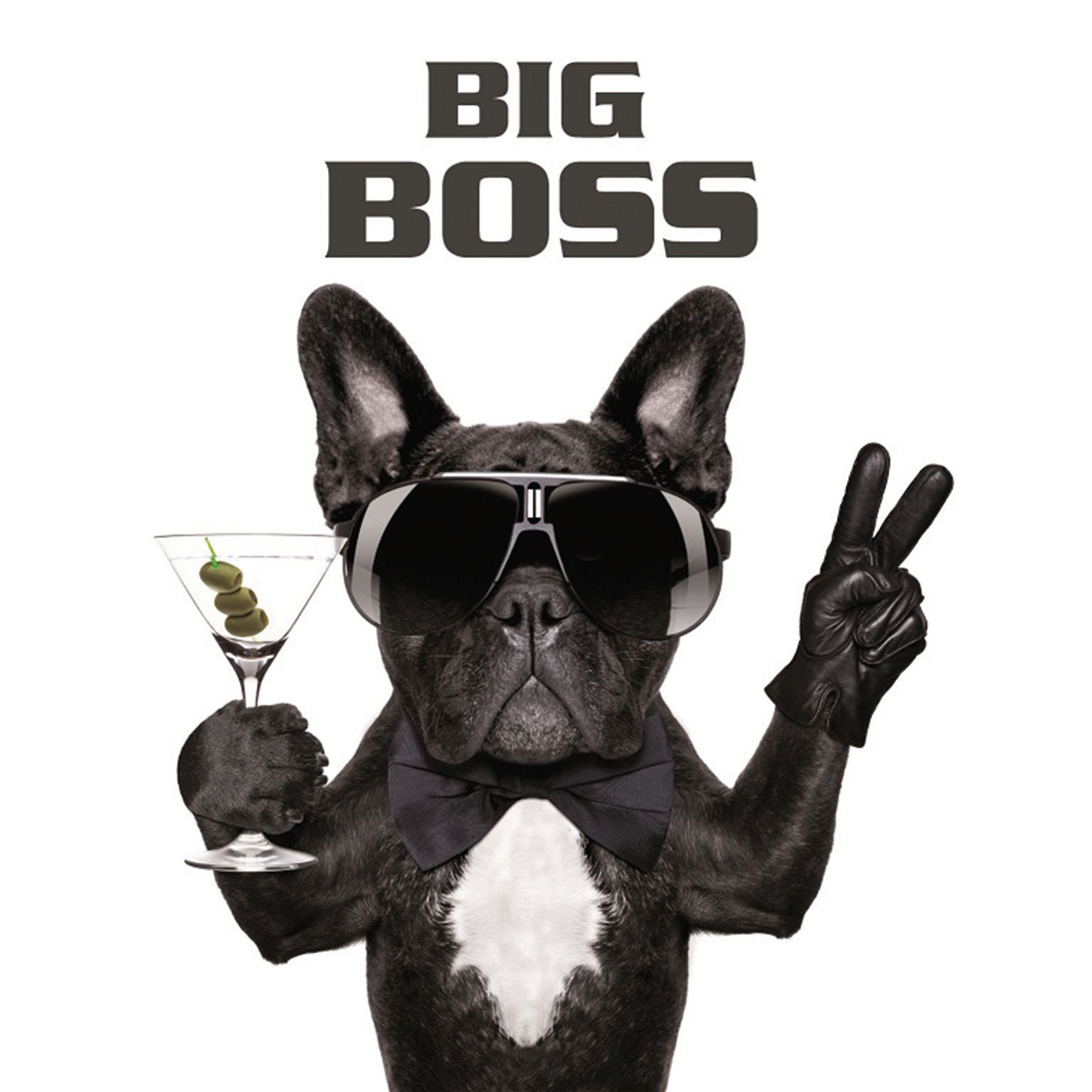 Keilrahmenbild BIG BOSS - 46x61 cm