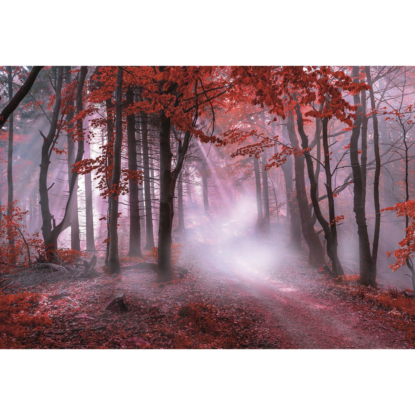 Keilrahmenbild ROTER WALD - 118x78 cm