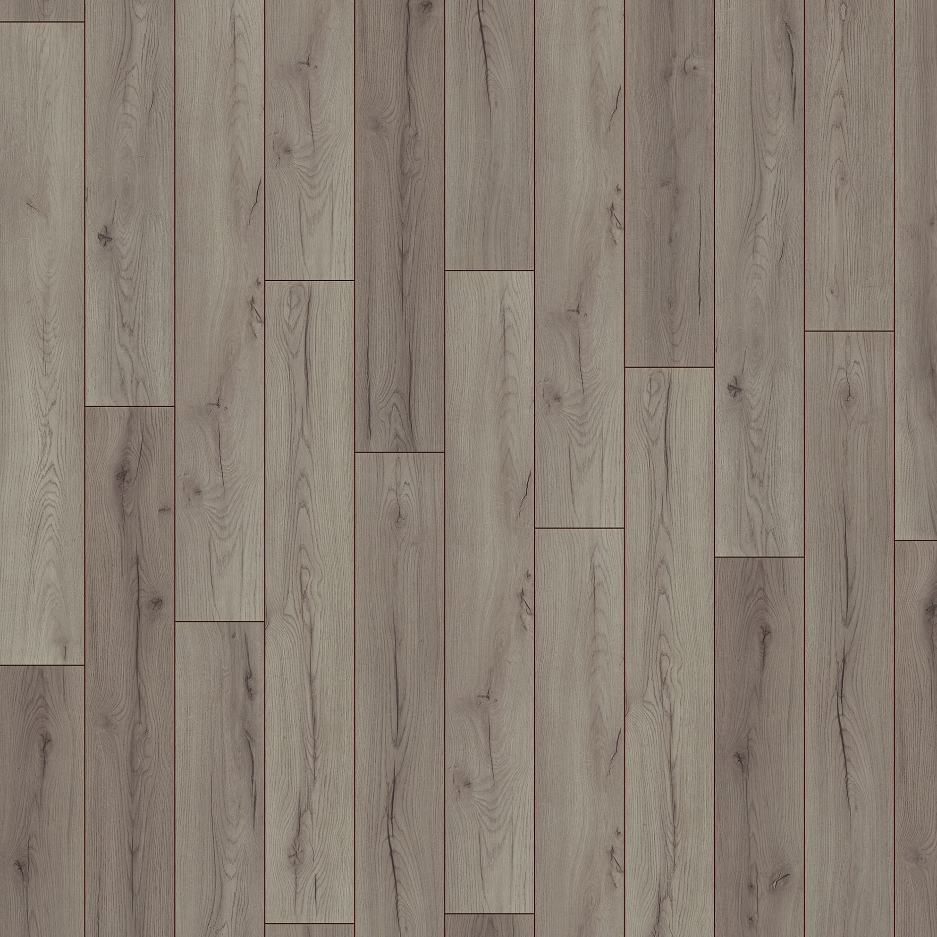 Laminat - Century Eiche grau - 7 mm