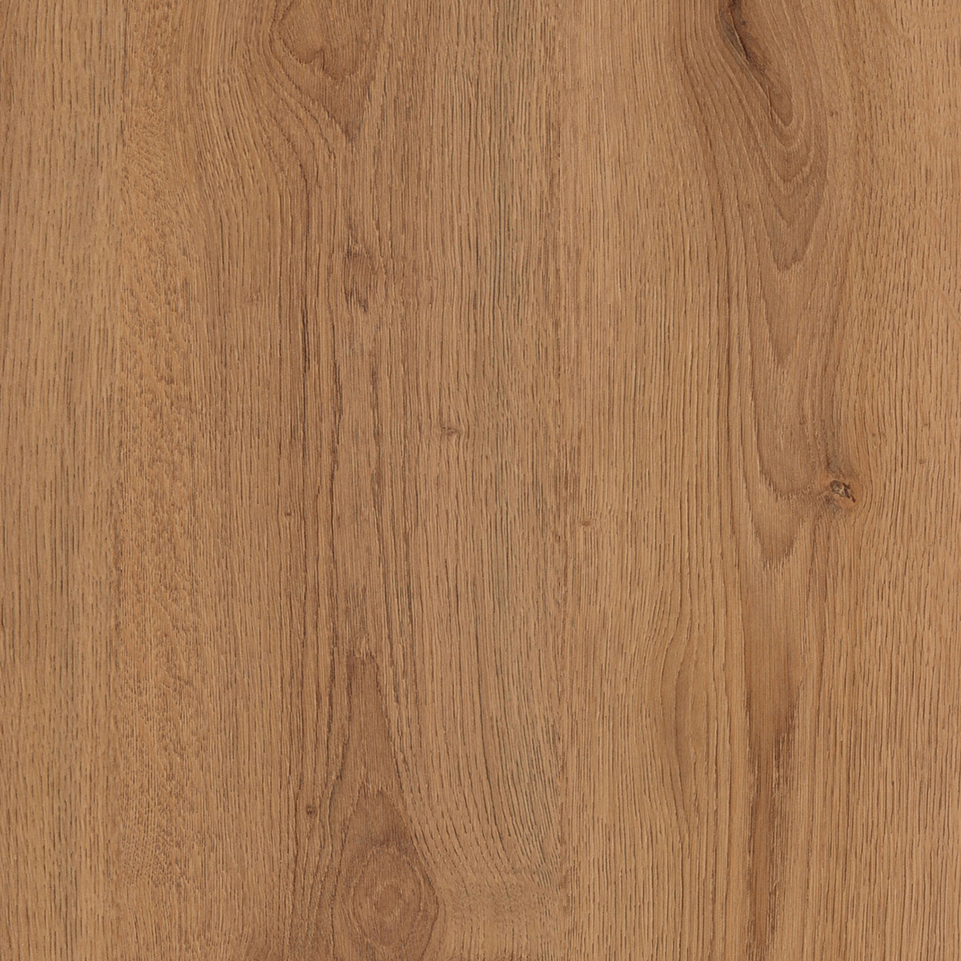 Laminat - Trend Eiche natur - 6 mm