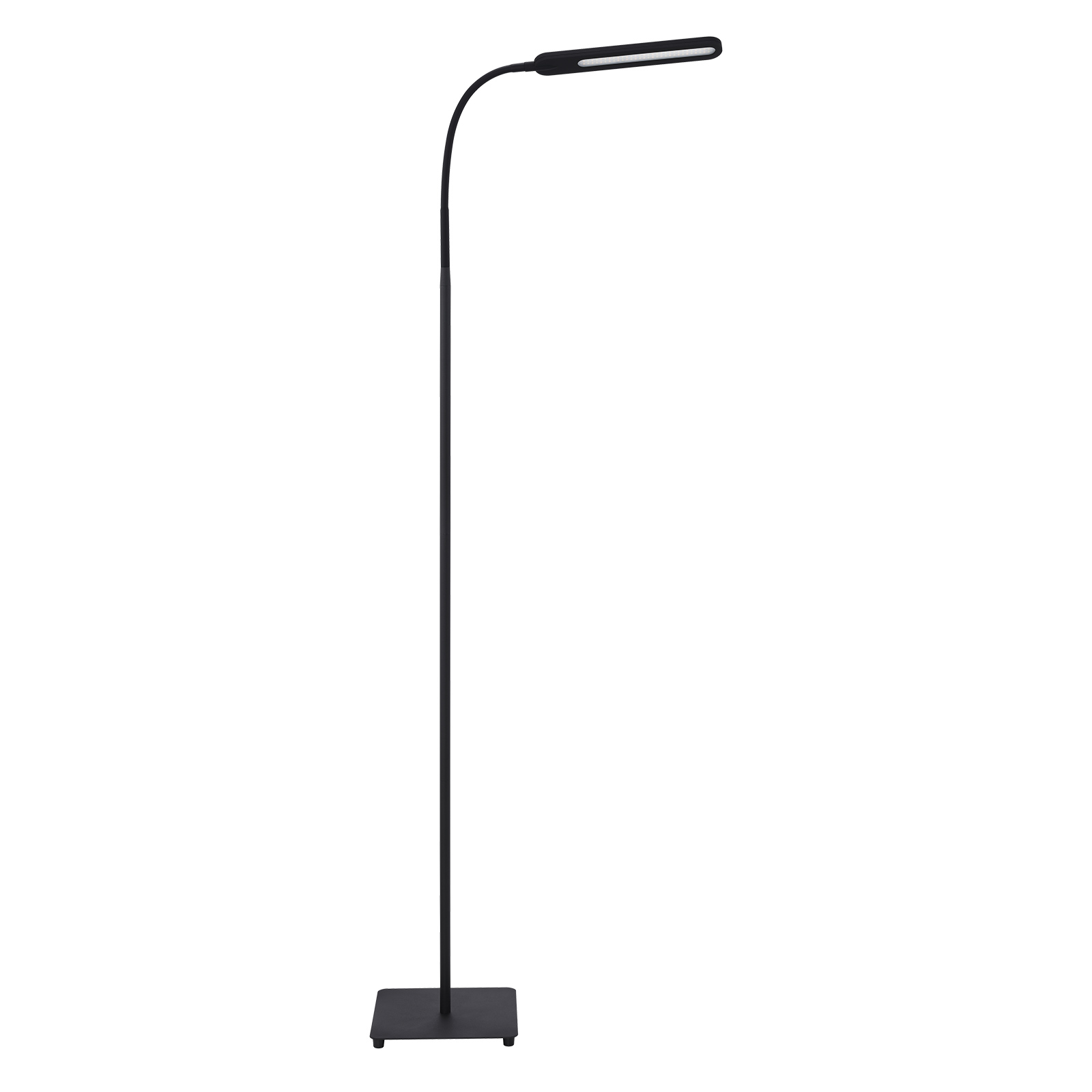LAMPURA LED-Touch-Stehleuchte SILAS - schwarz - dimmbar