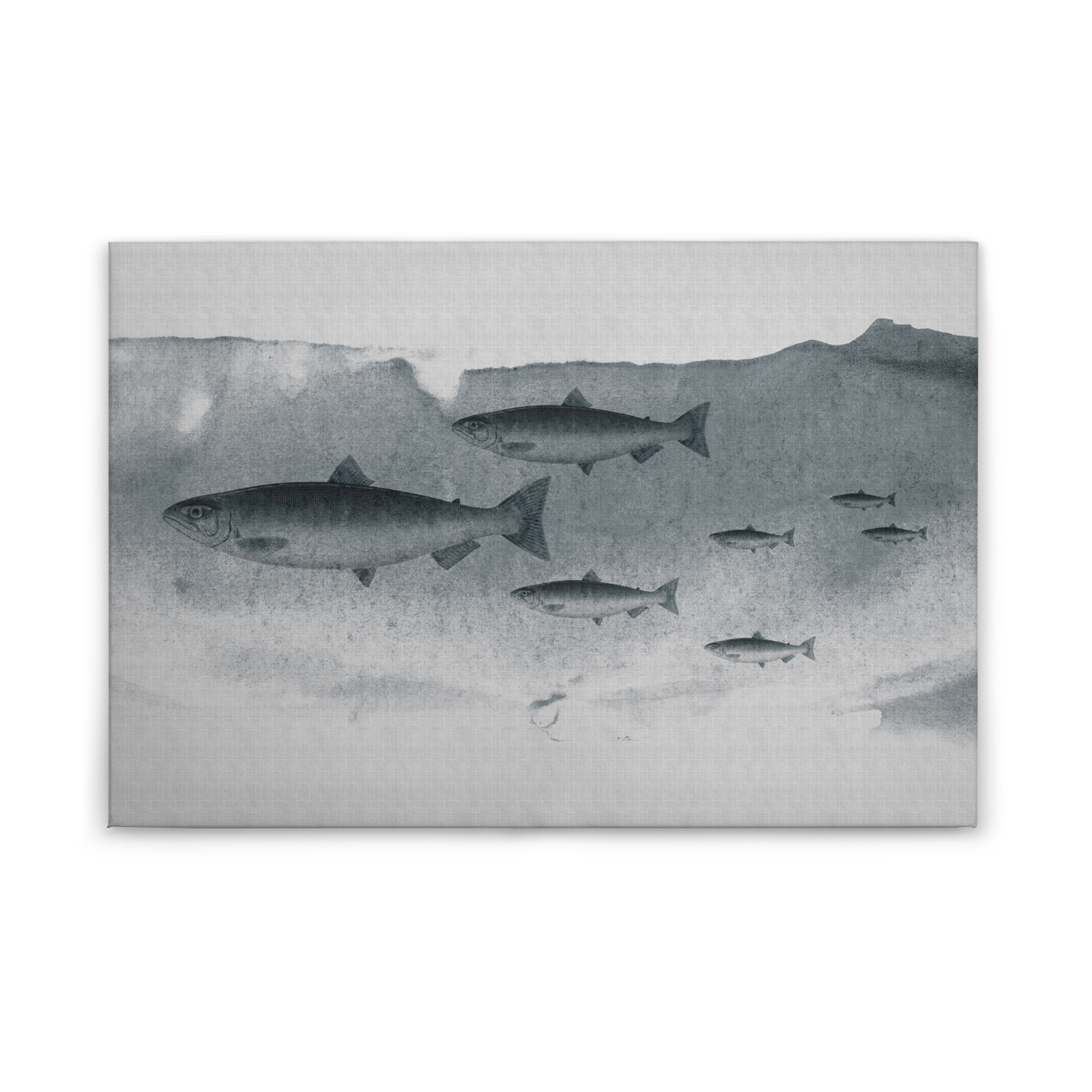 Leinwandbild FISCHE - grau - 90x60 cm