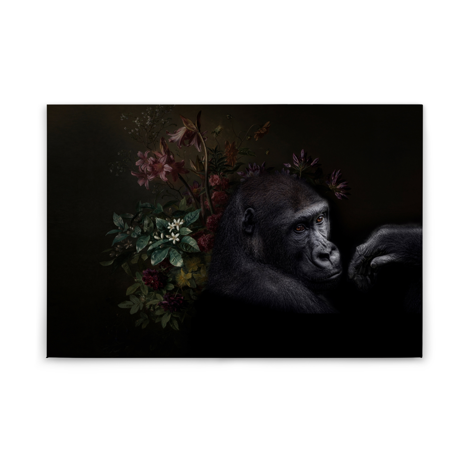 Leinwandbild GORILLA - schwarz-grau - 90x60 cm