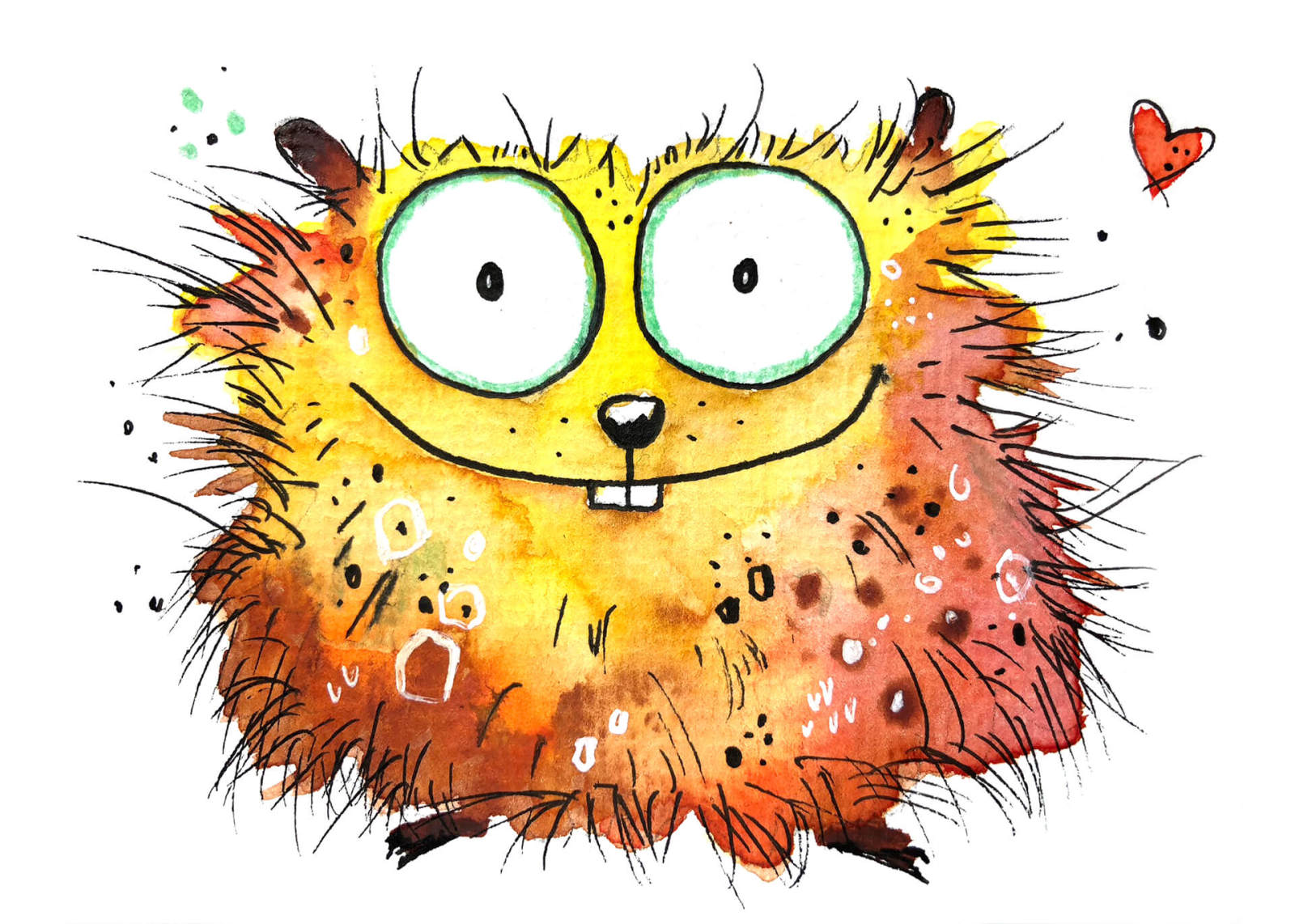 Leinwandbild HAMSTER - beige-orange - 70x50 cm