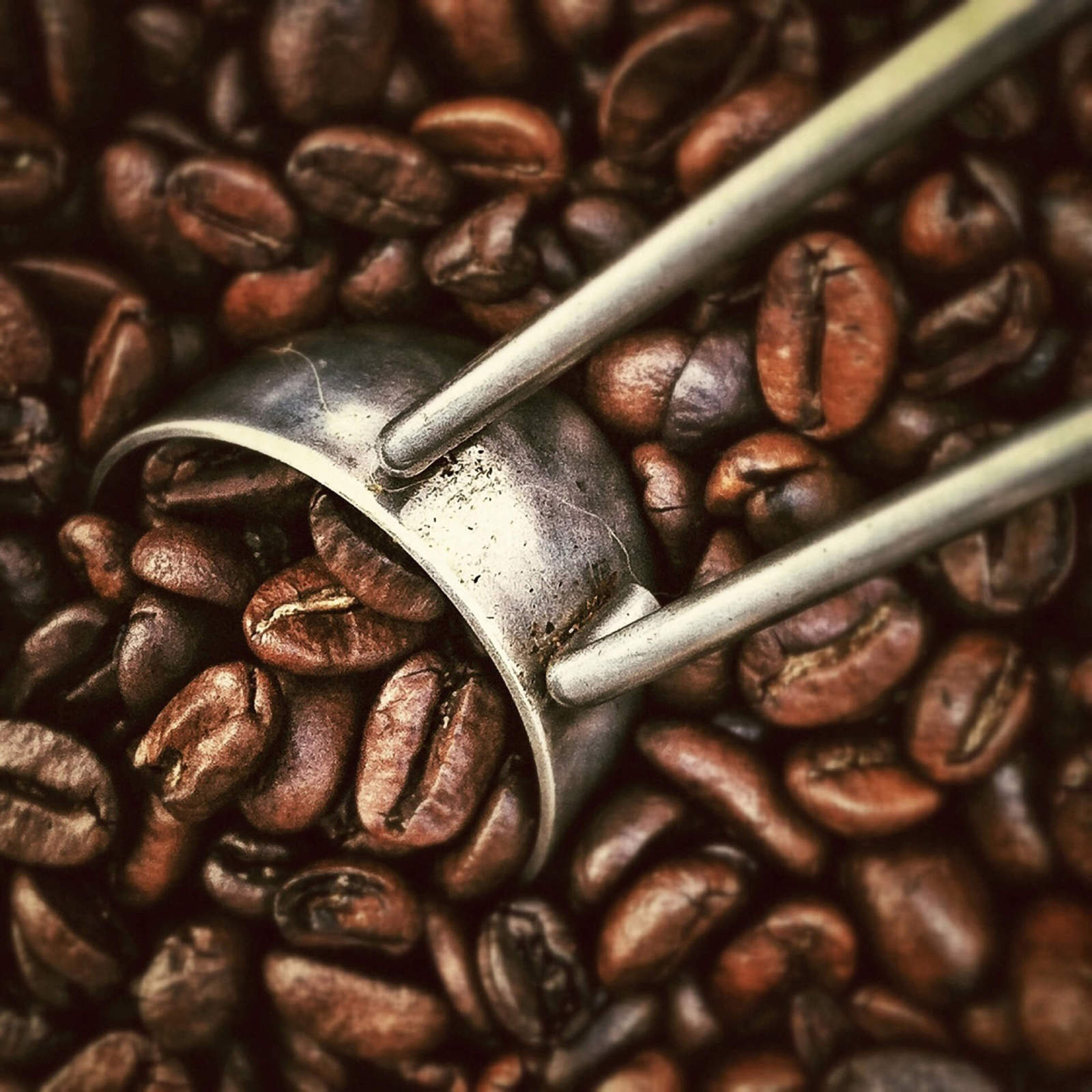 Leinwandbild KAFFEEBOHNEN - braun - 50x50 cm