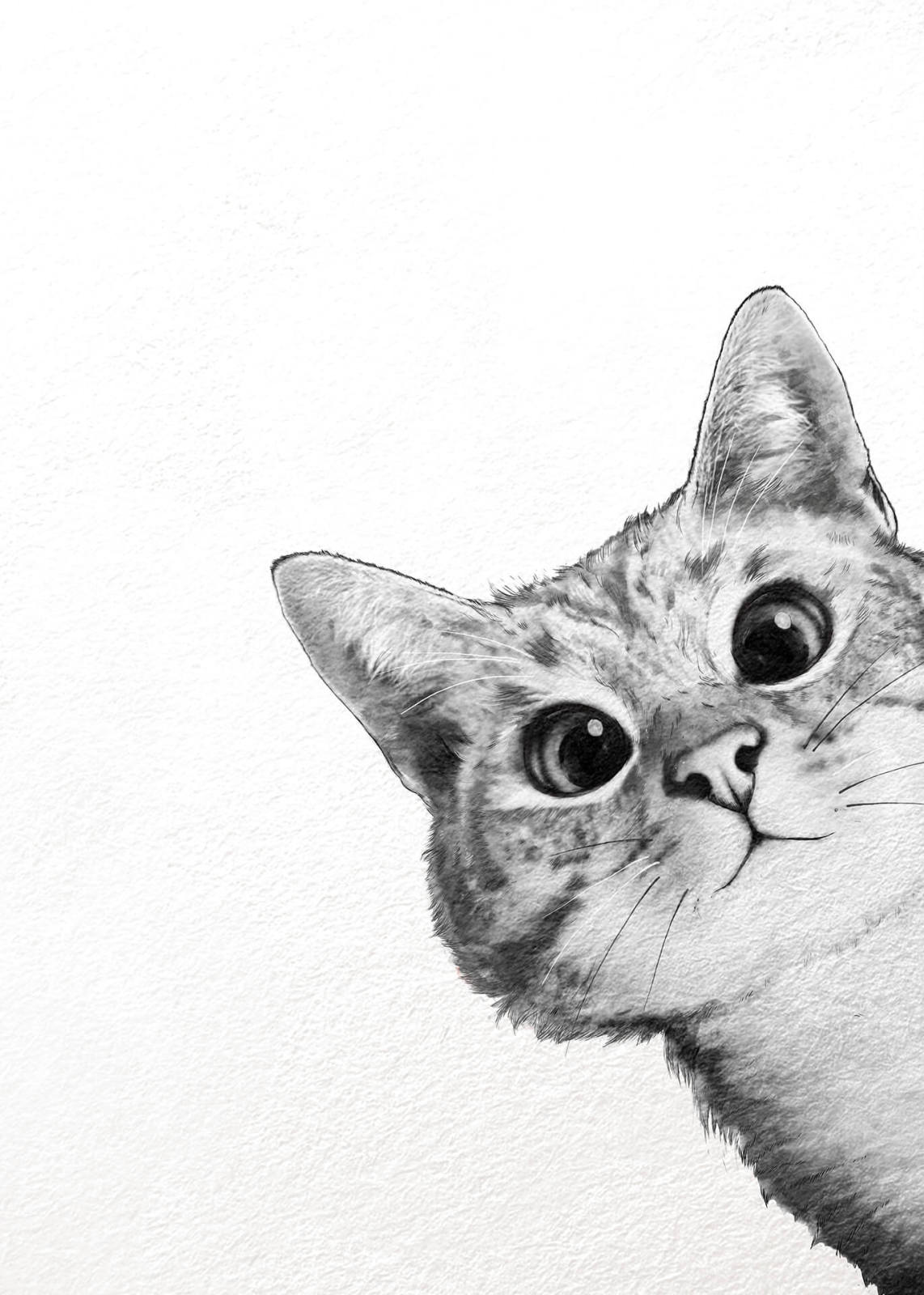 Leinwandbild KATZE - schwarz-weiß - 50x70 cm