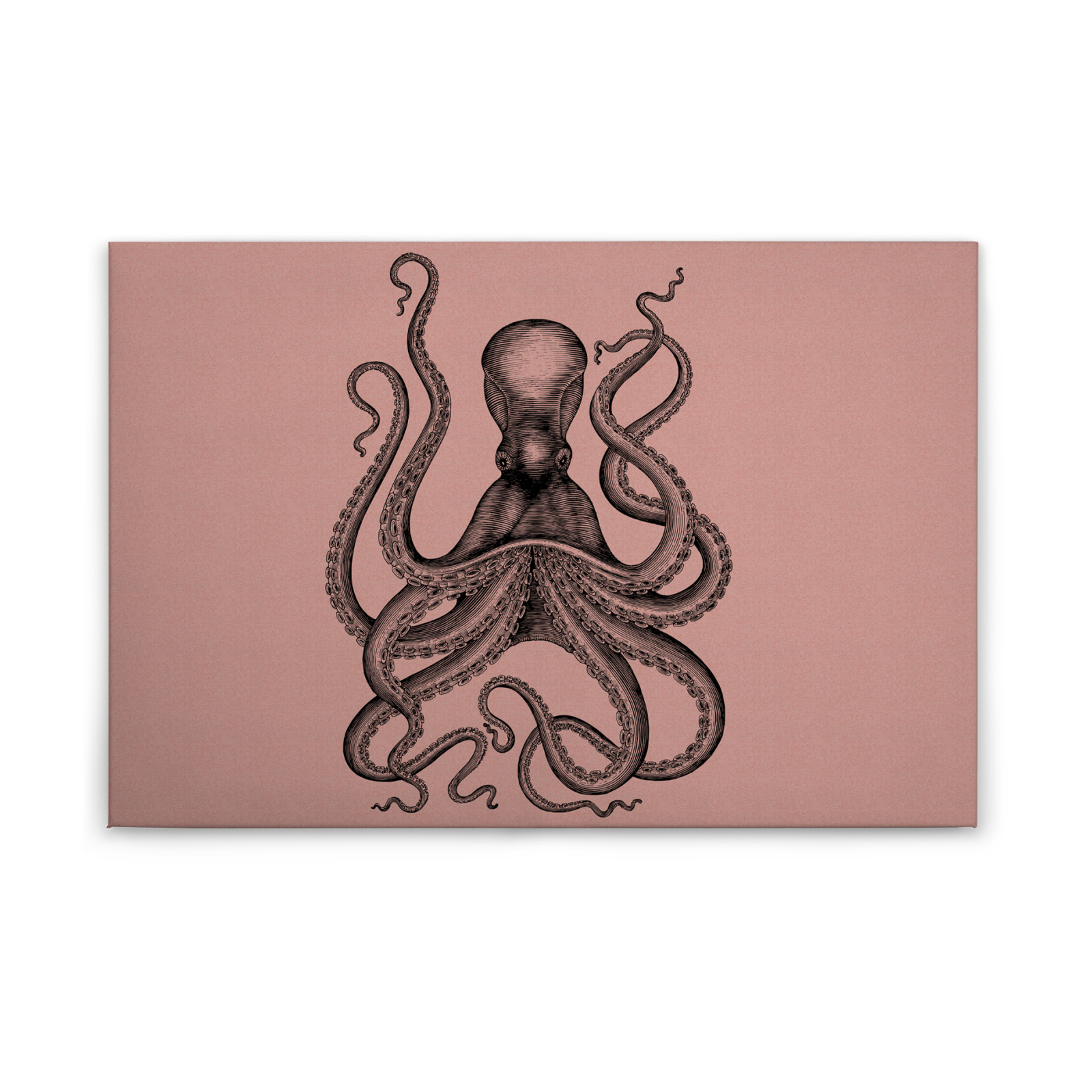 Leinwandbild KRAKE - rosa-grau - 90x60 cm