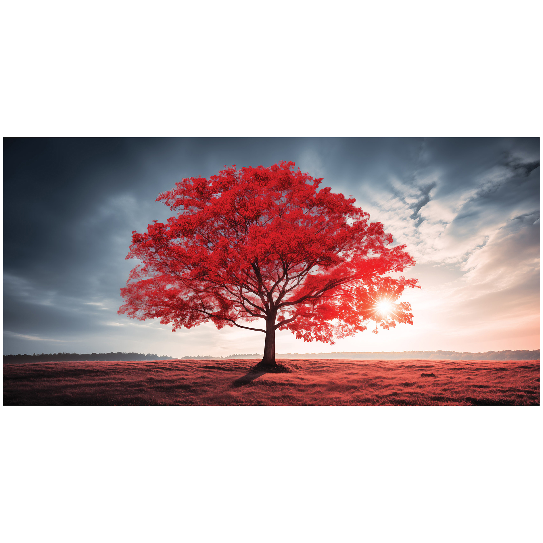 Leinwandbild Nature XX - mehrfarbig - 100x50 cm