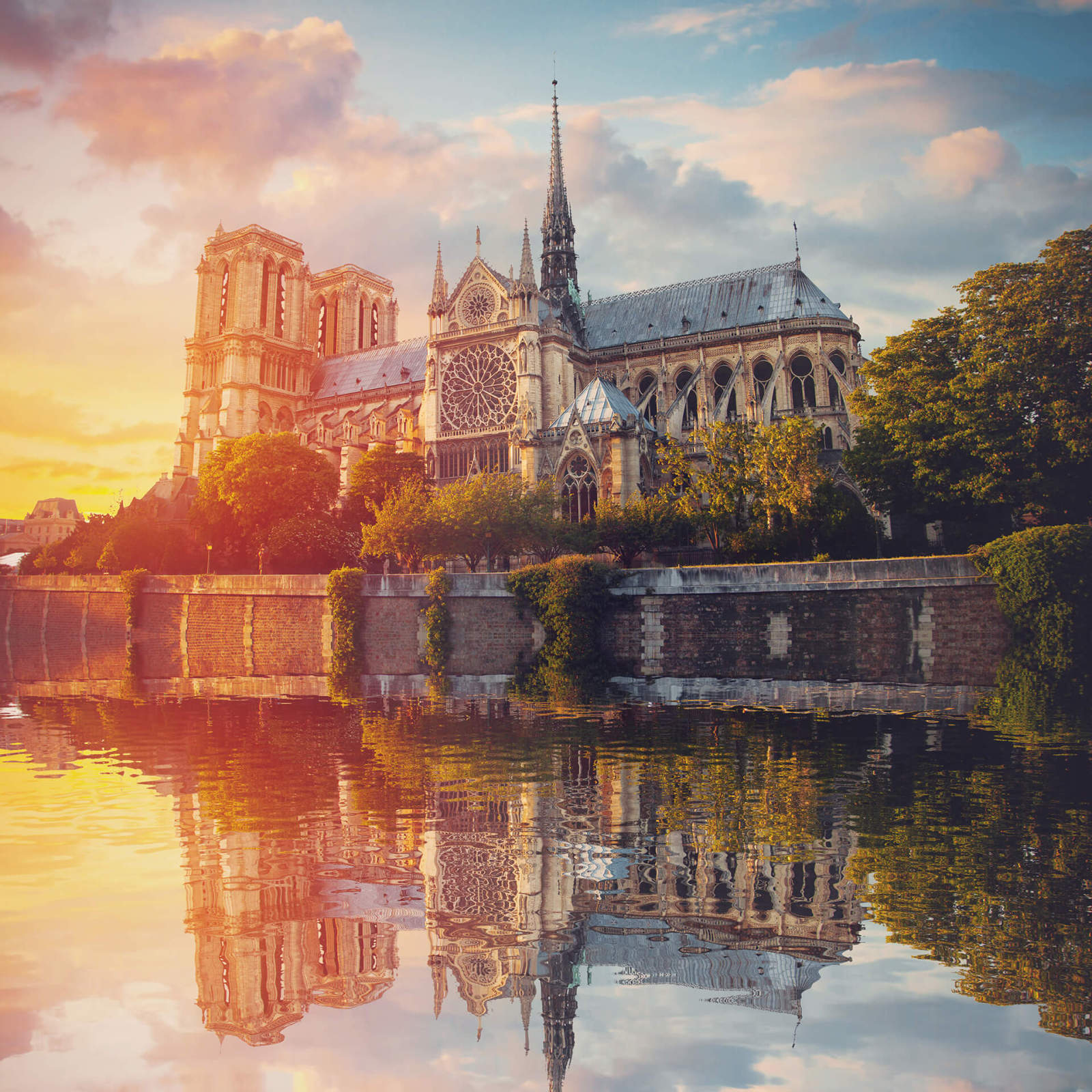 Leinwandbild NOTRE DAME - beige-gelb - 50x50 cm