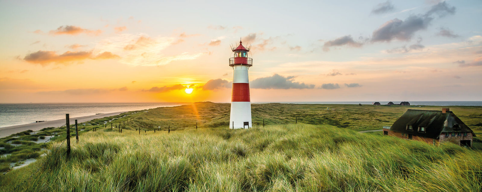Leinwandbild SYLT - grün - 100x40 cm
