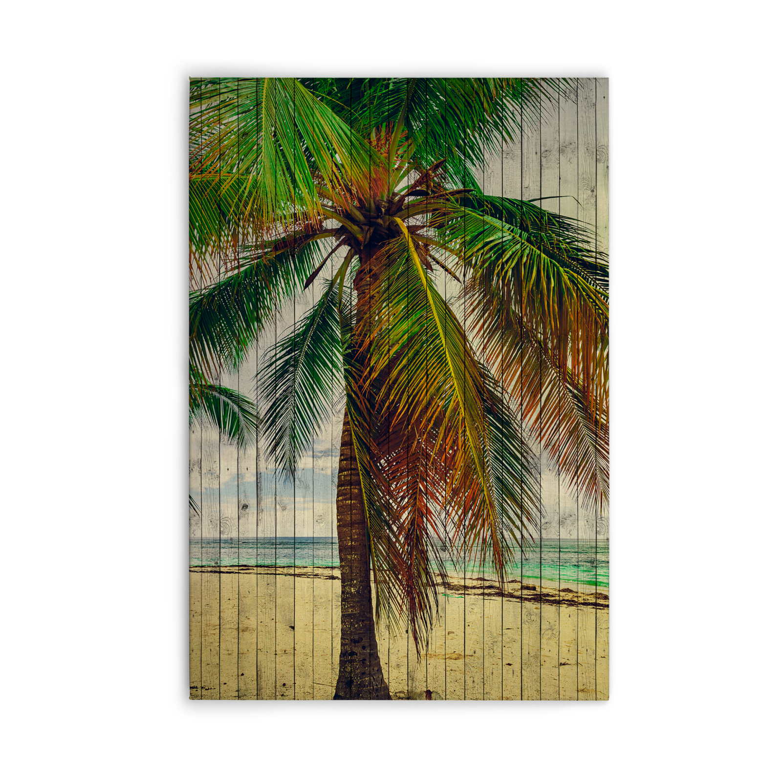 Leinwandbild TAHITI - grün-beige - 60x90 cm