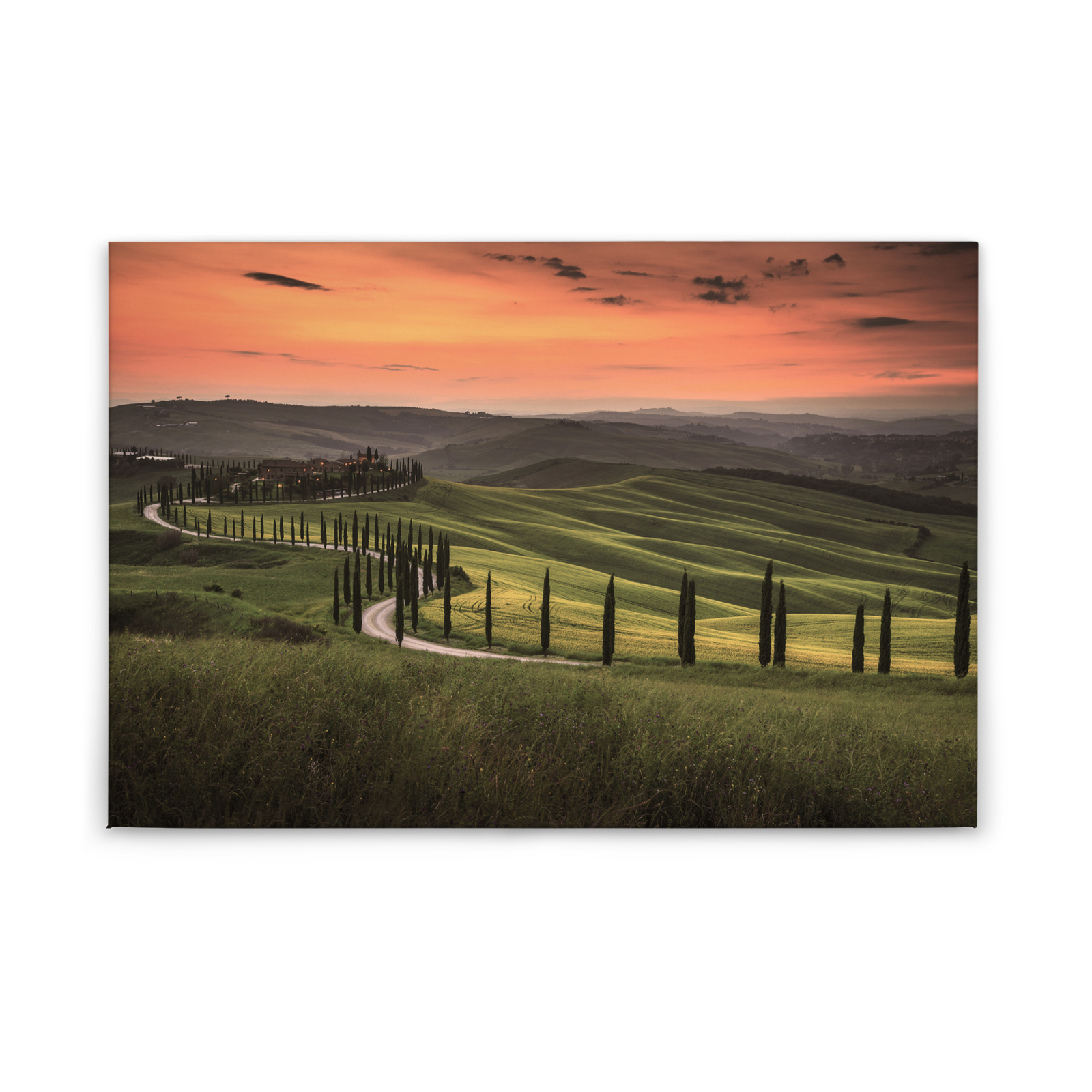 Leinwandbild TOSKANA - grün - 90x60 cm