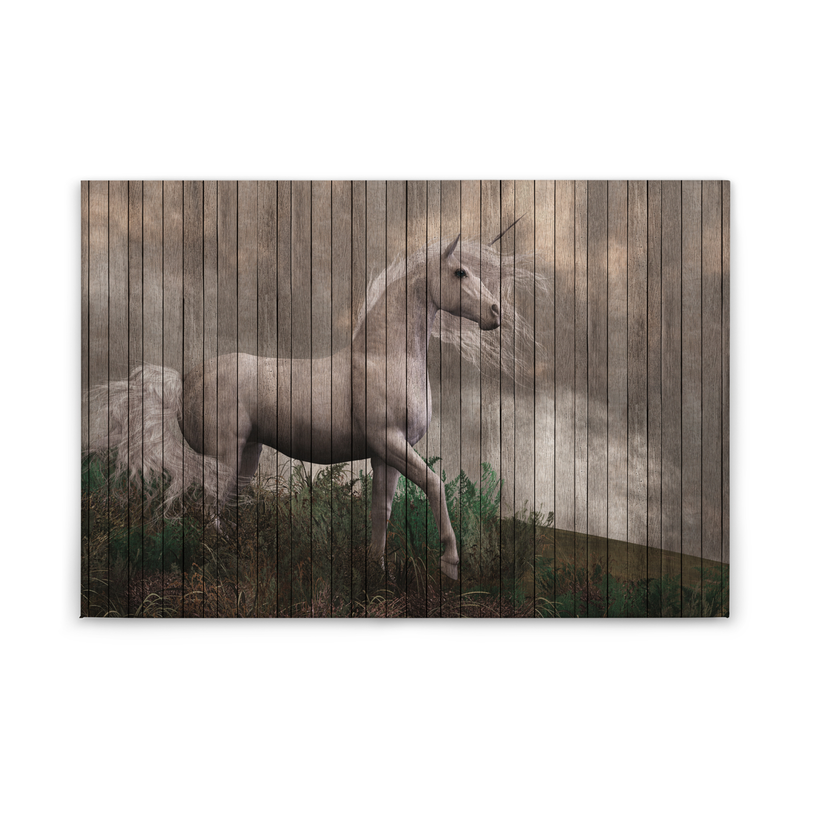 Leinwandbild TRAUMPFERD - grau - 90x60 cm
