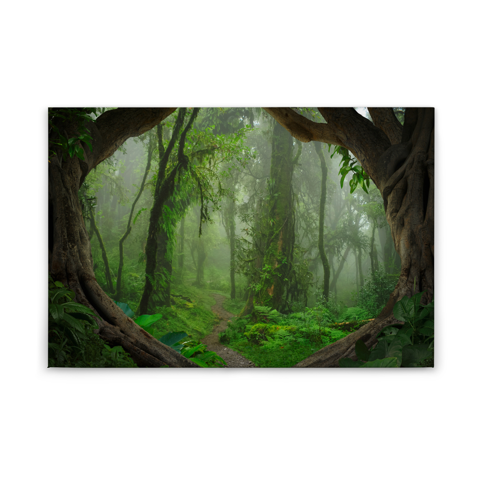 Leinwandbild TROPENWALD - grün - 90x60 cm