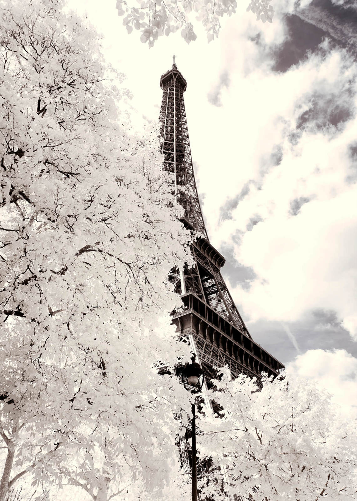 Leinwandbild VERSCHNEITES PARIS - weiß-grau - 50x70 cm