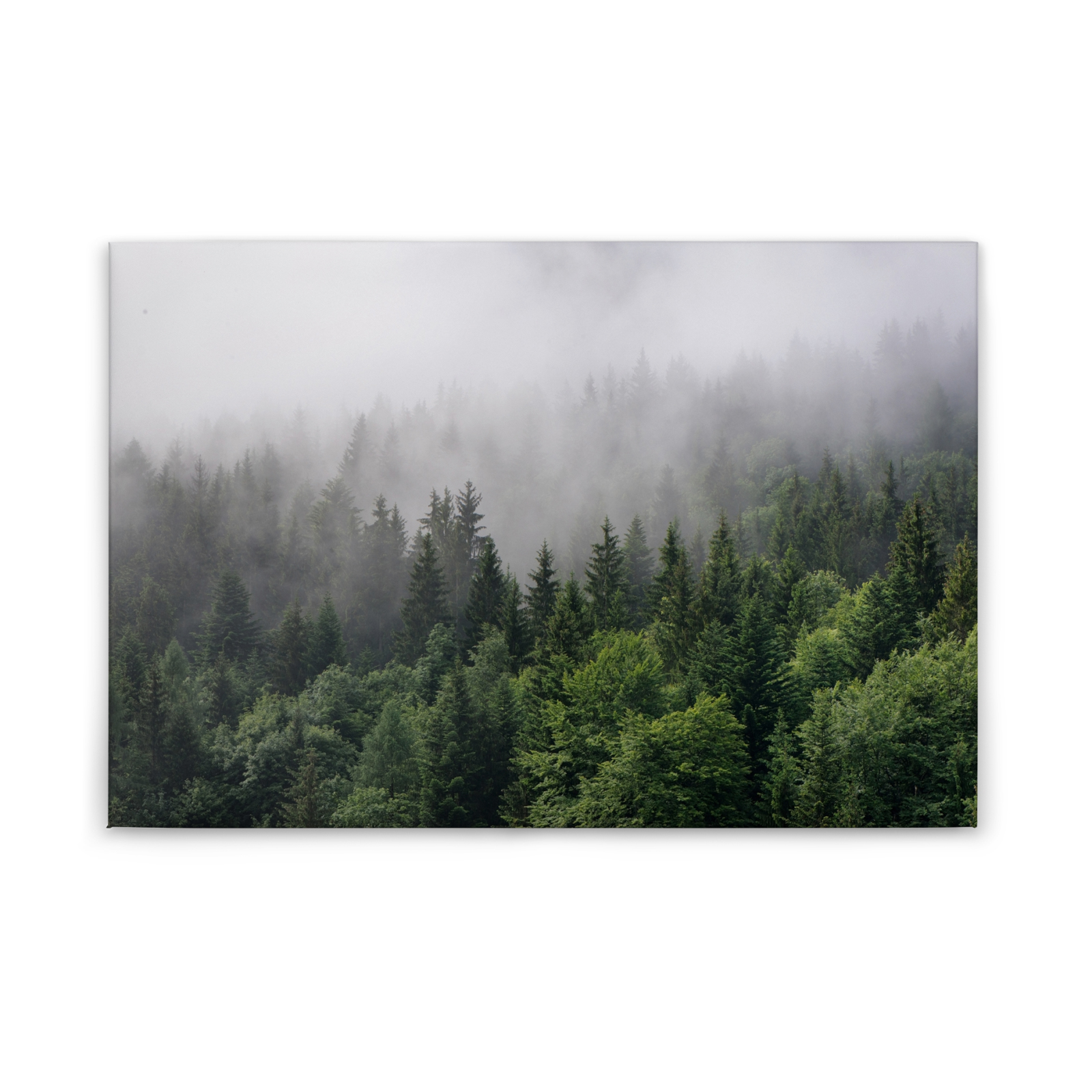 Leinwandbild WALD - grün - 90x60 cm