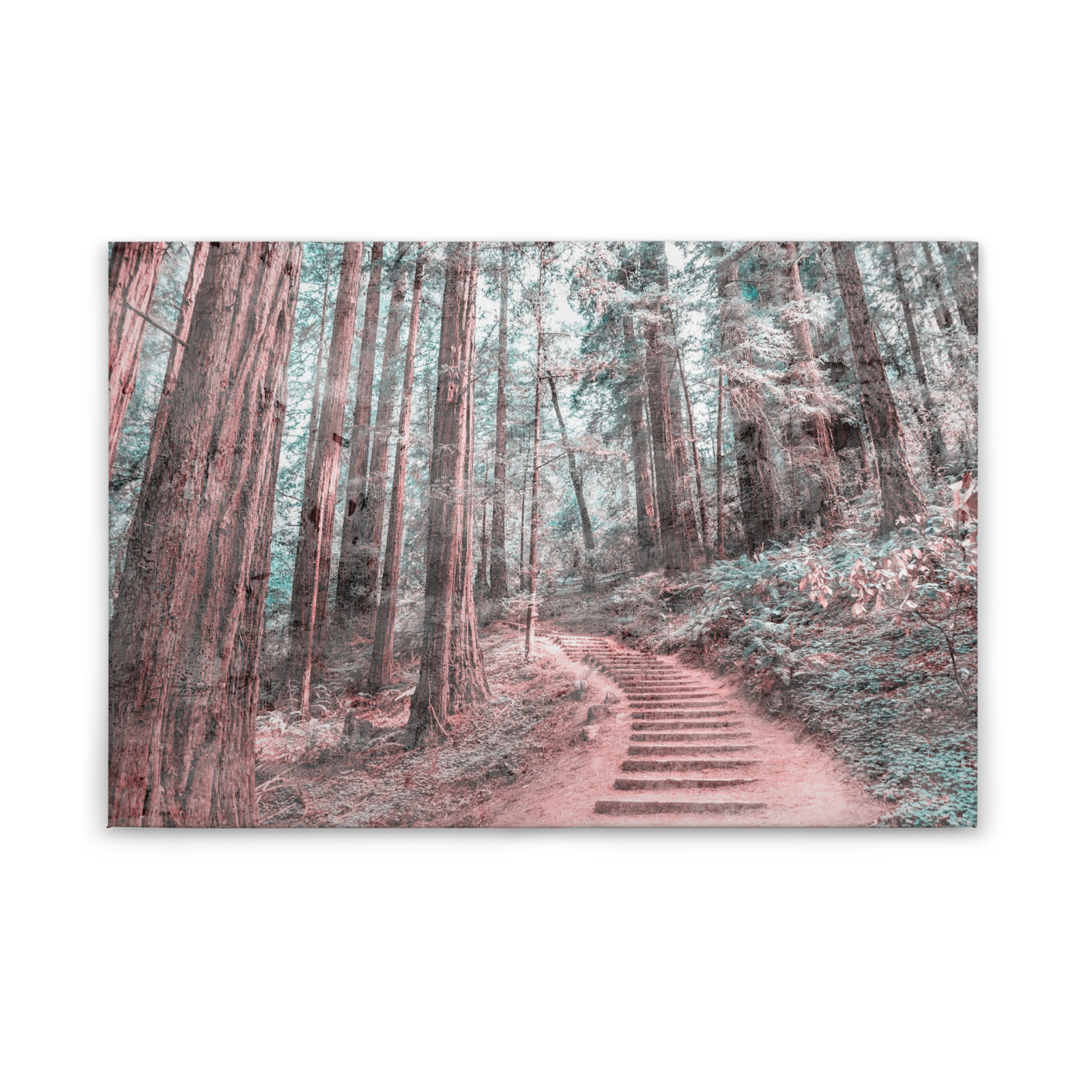 Leinwandbild WALDWEG - braun - 90x60 cm