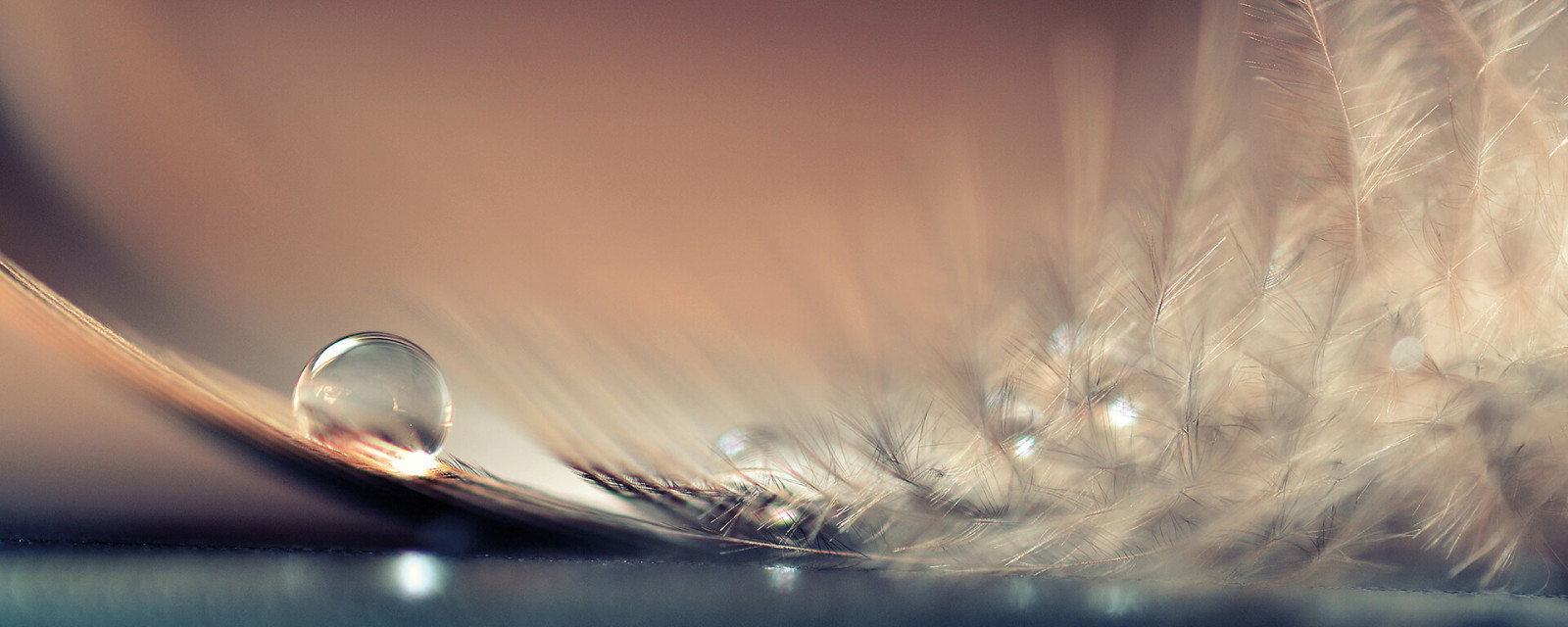 Leinwandbild WASSERTROPFEN - grau - 100x40 cm
