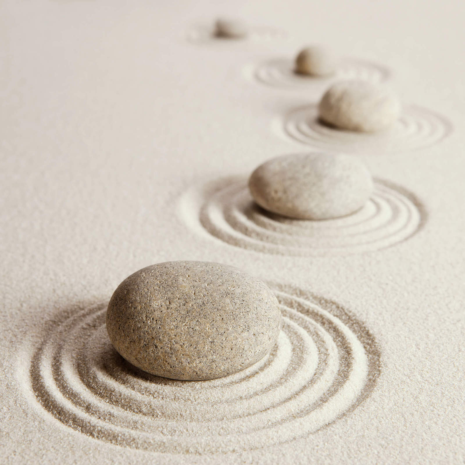 Leinwandbild ZEN-GARTEN - beige - 50x50 cm