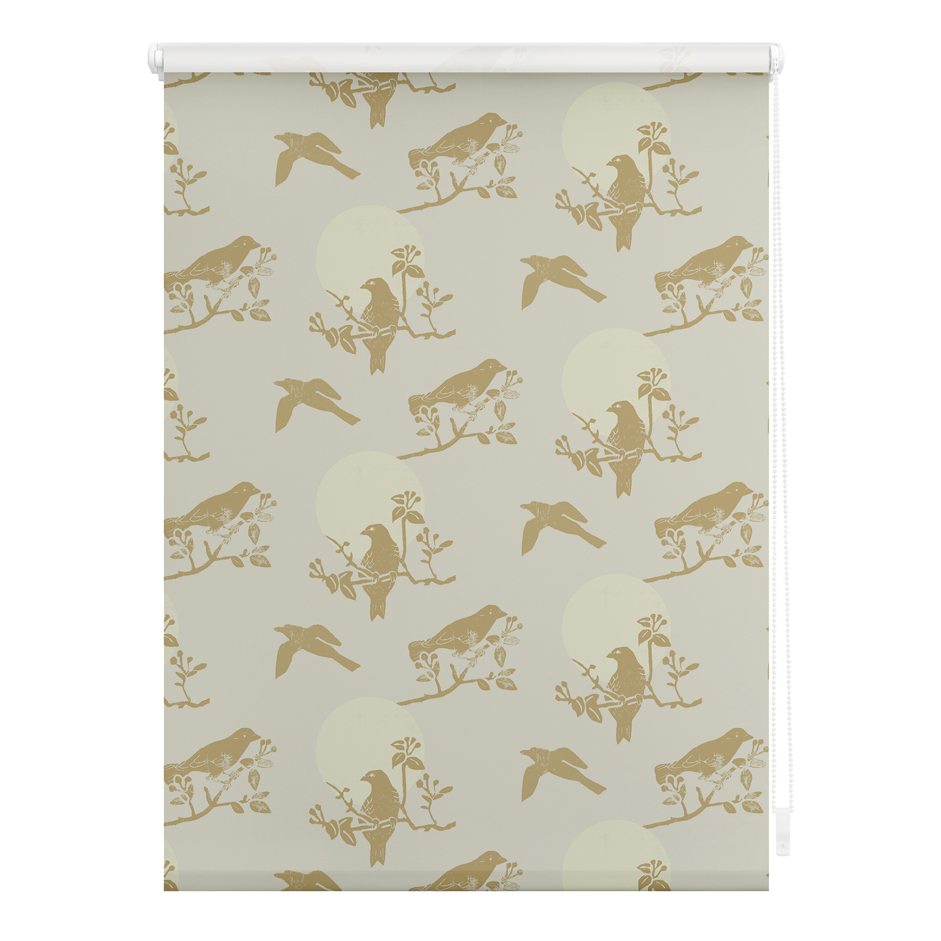 LICHTBLICK Klemmrollo MOON BIRDS - beige - 80x150 cm
