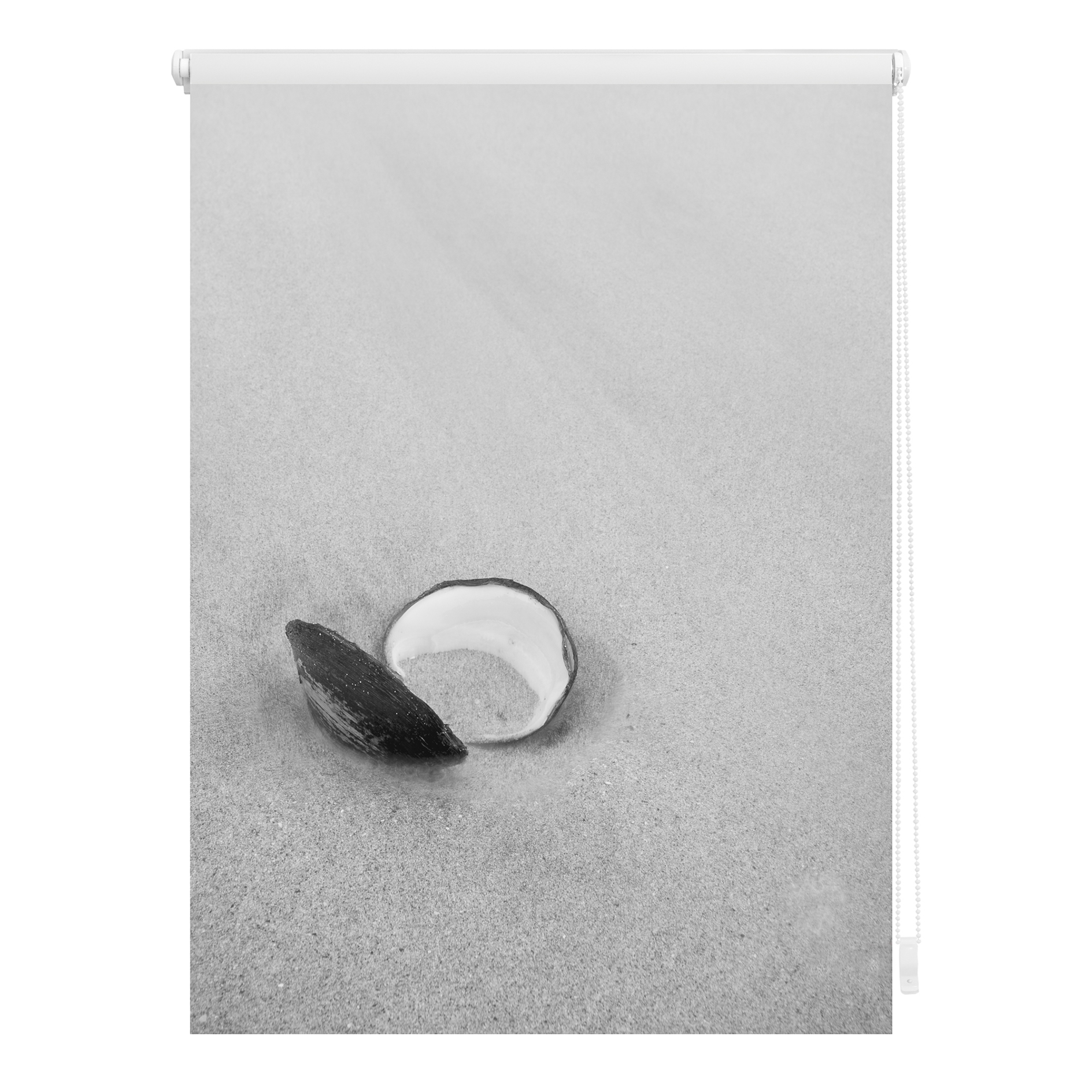 LICHTBLICK Klemmrollo MUSCHEL - schwarz-weiß - 80x150 cm