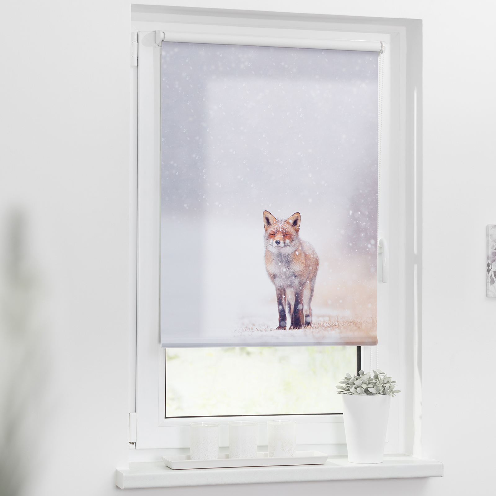 LICHTBLICK Rollo Klemmfix FUCHS IM SCHNEE - weiß-rot - 60x150 cm