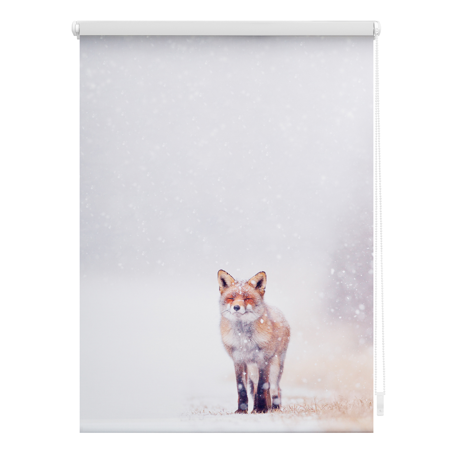 LICHTBLICK Rollo Klemmfix FUCHS IM SCHNEE - weiß-rot - 90x150 cm
