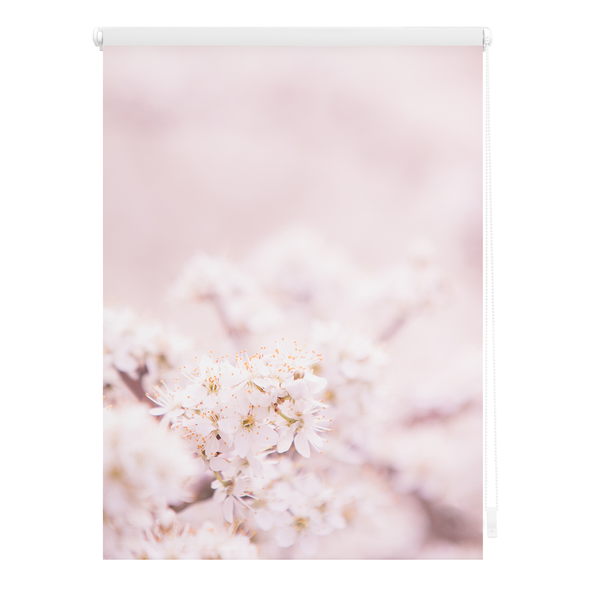 LICHTBLICK Rollo Klemmfix KIRSCHBLÜTEN - rosa-weiß - 60x150 cm