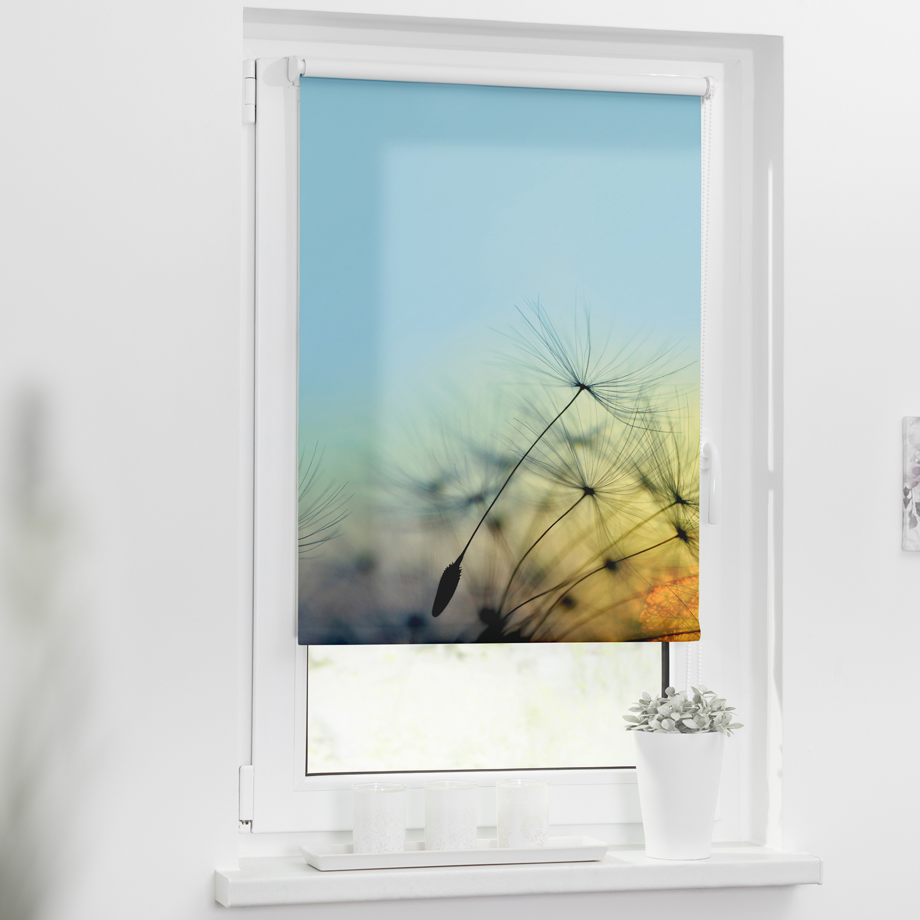 LICHTBLICK Rollo Klemmfix PUSTEBLUME - blau - 60x150 cm