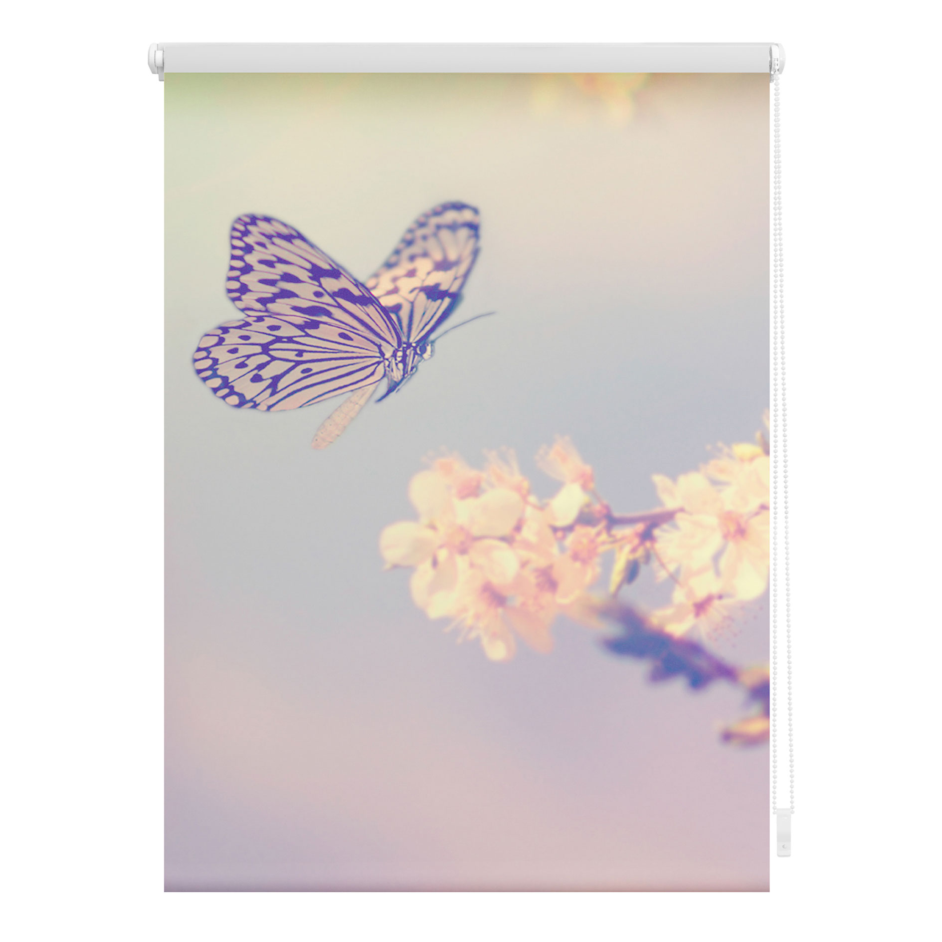LICHTBLICK Rollo Klemmfix SCHMETTERLING - rosa - 60x150 cm