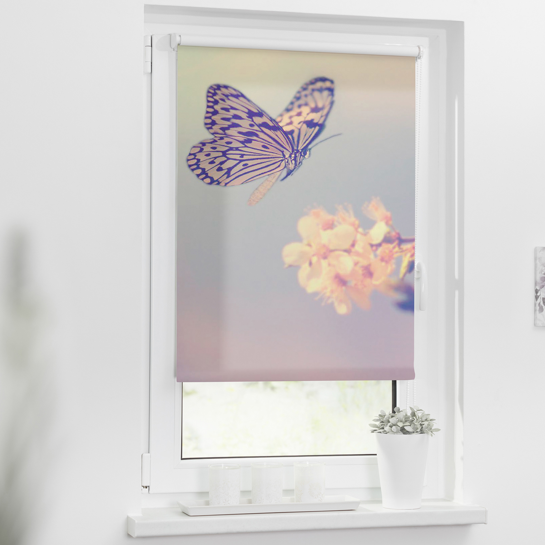 LICHTBLICK Verdunklungsrollo BUTTERFLY - rosa - 45x150 cm