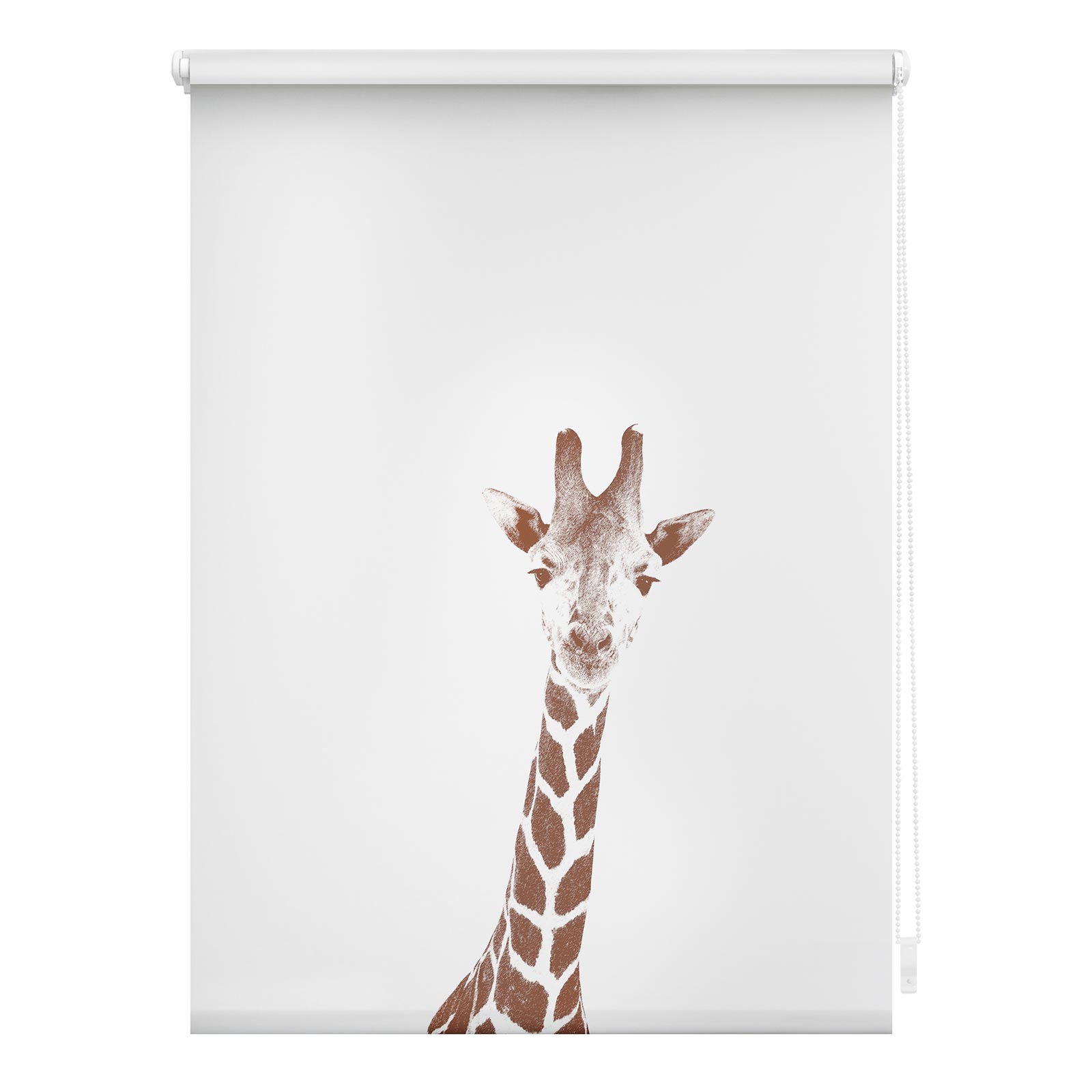 LICHTBLICK Verdunklungsrollo GIRAFFE - weiß-braun - 60x150 cm