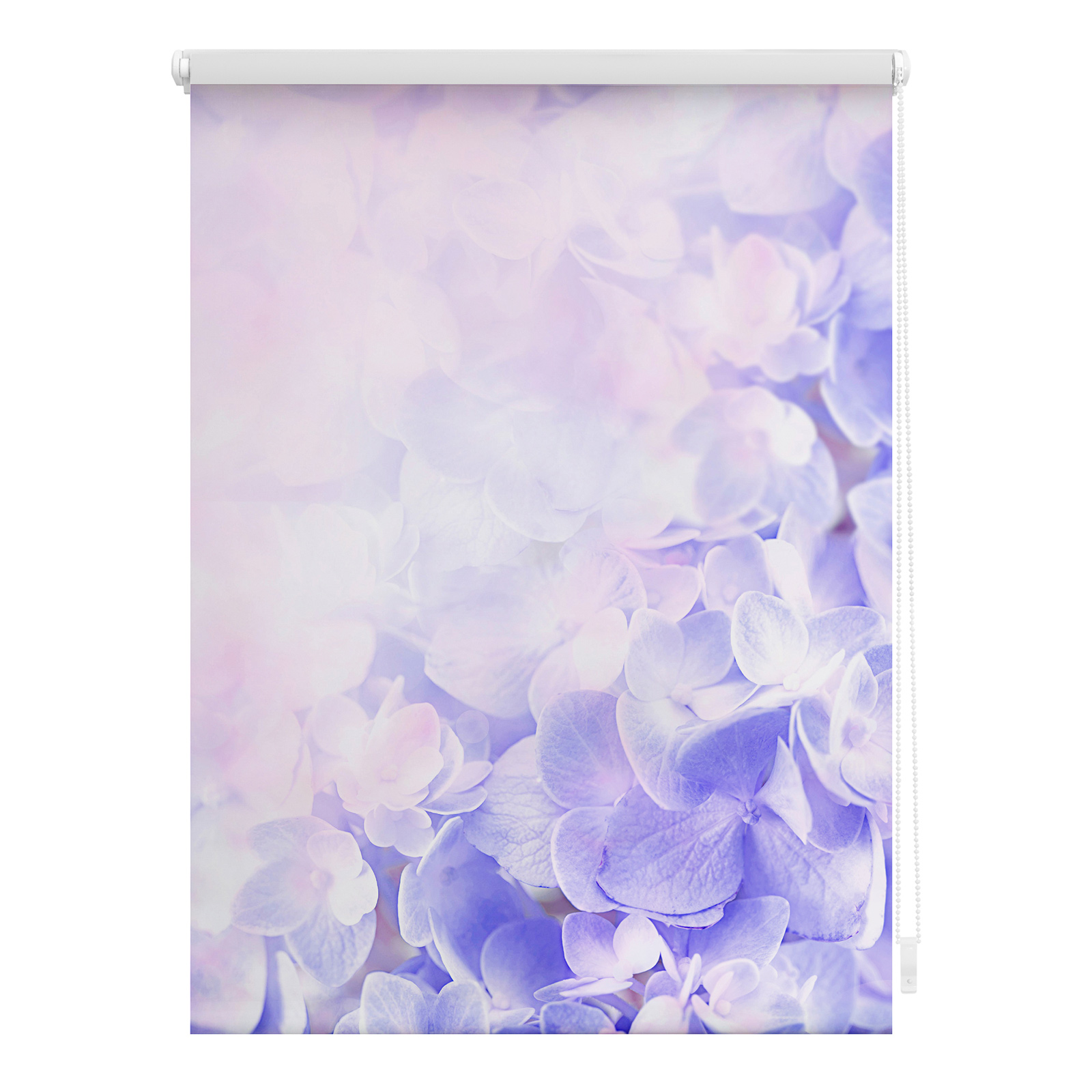 LICHTBLICK Verdunklungsrollo Hortensie - lila - 60x150 cm